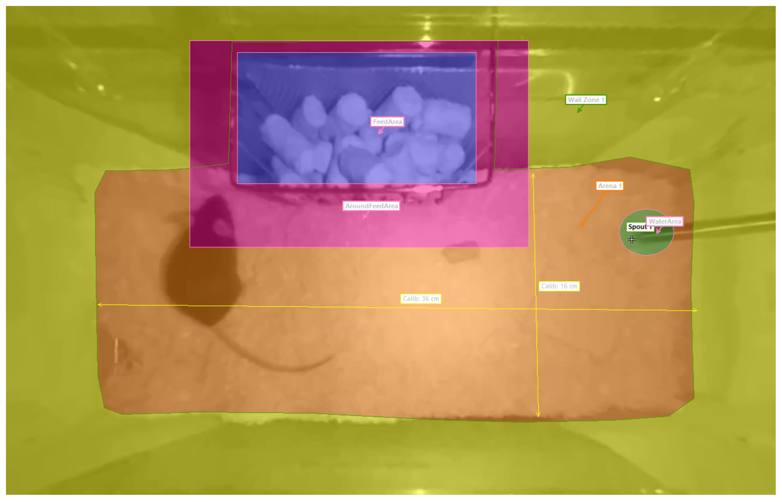 Sensors 25 02549 g003