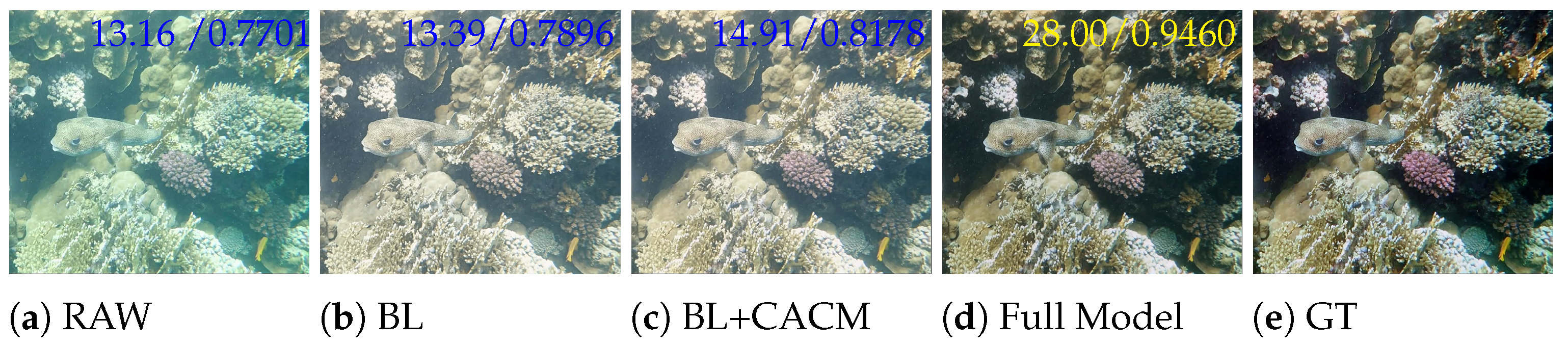 Sensors 25 02574 g007