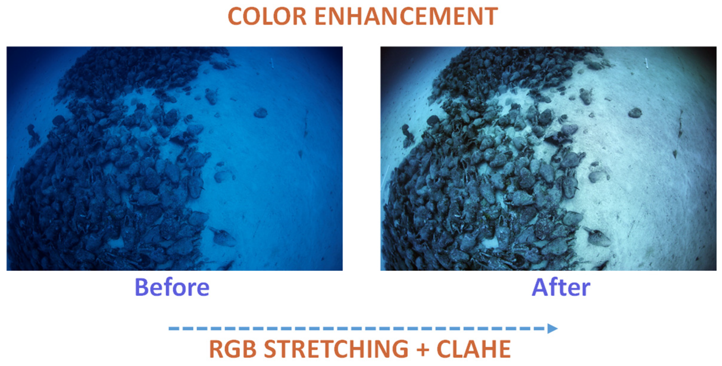 Sensors 25 02576 g001