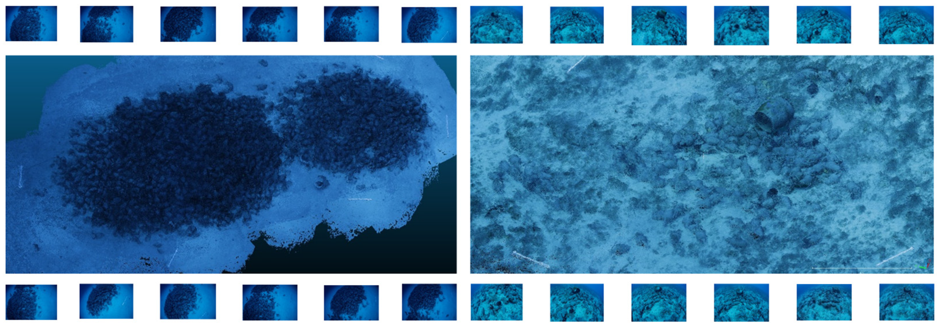 Sensors 25 02576 g005