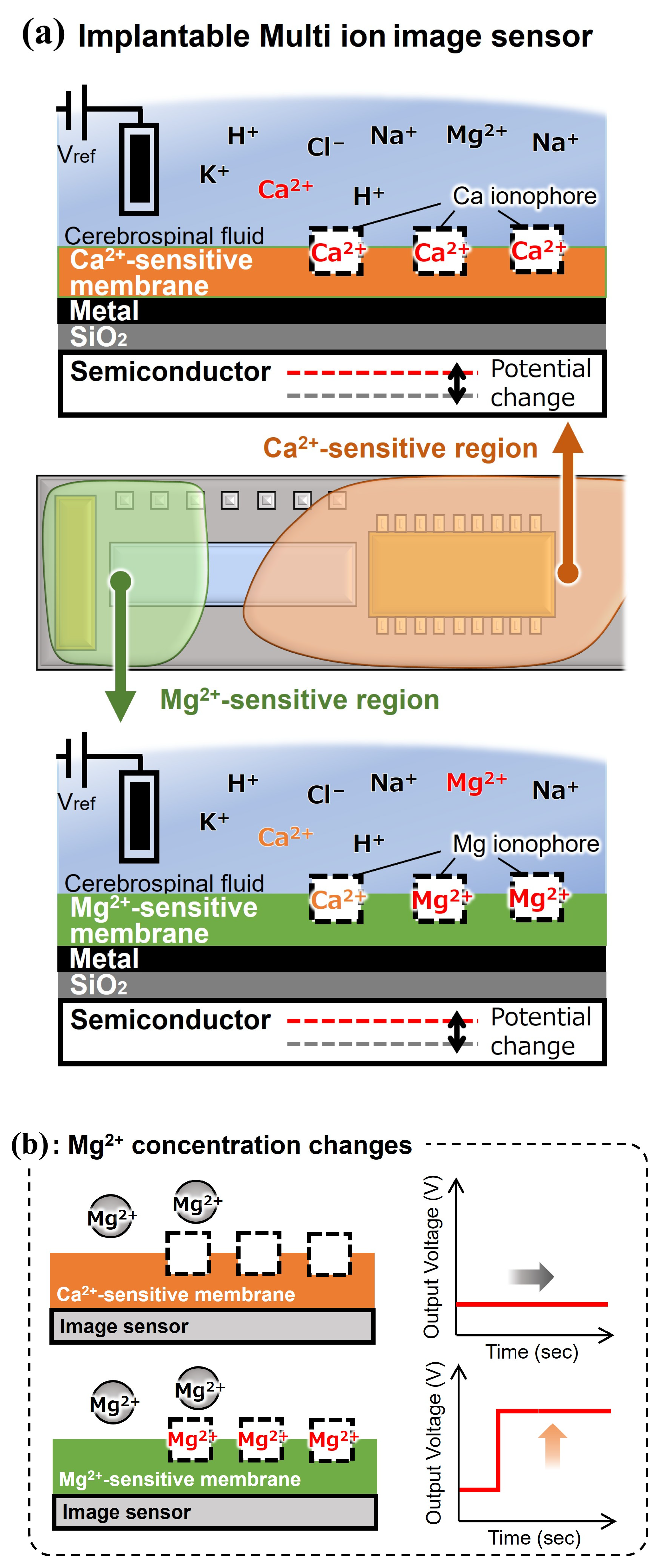 Sensors 25 02595 g003a
