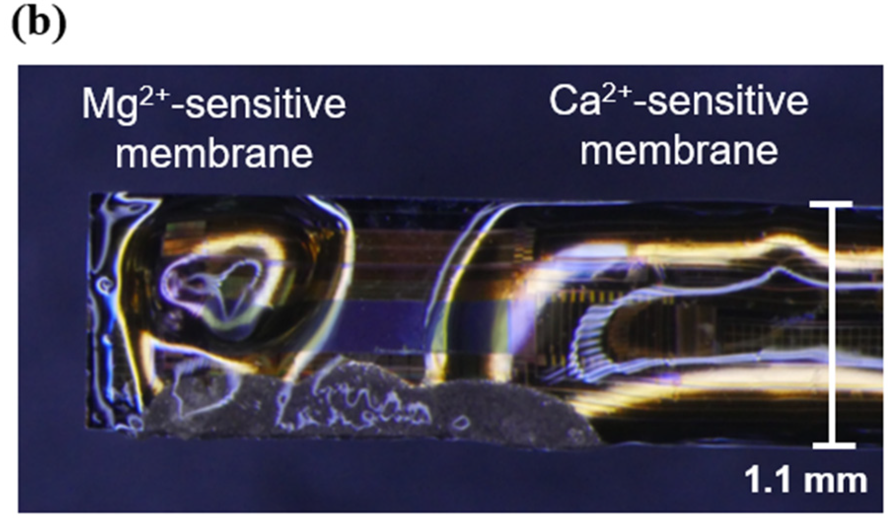 Sensors 25 02595 g004b