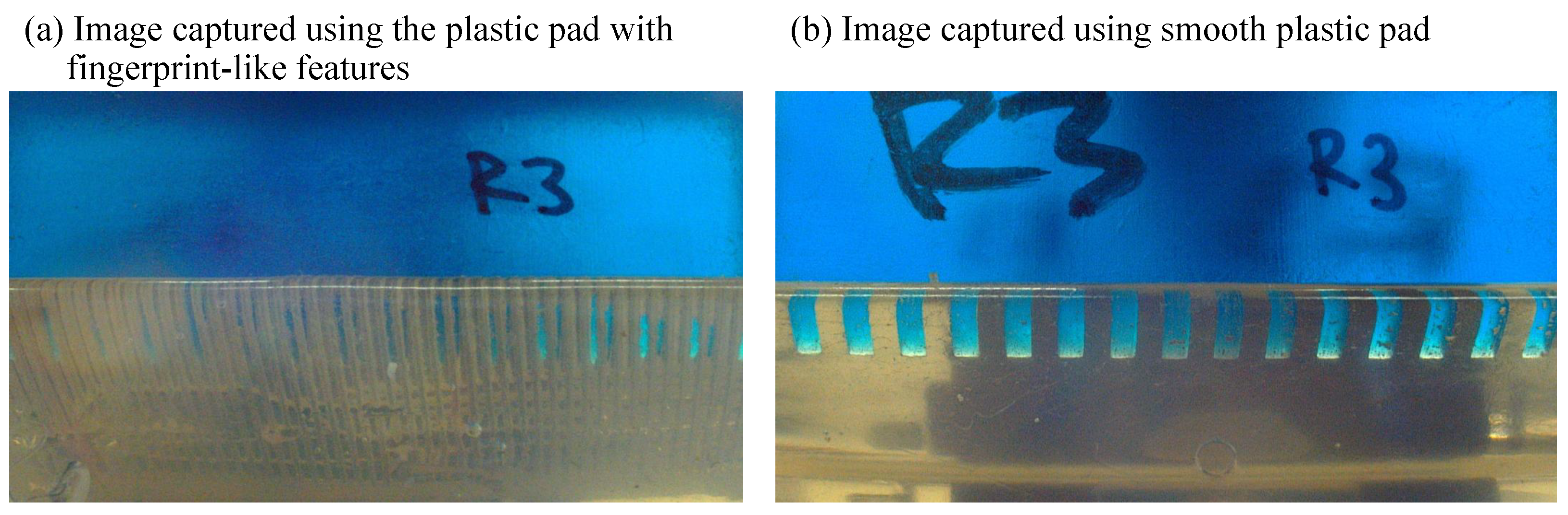 Sensors 25 02598 g005