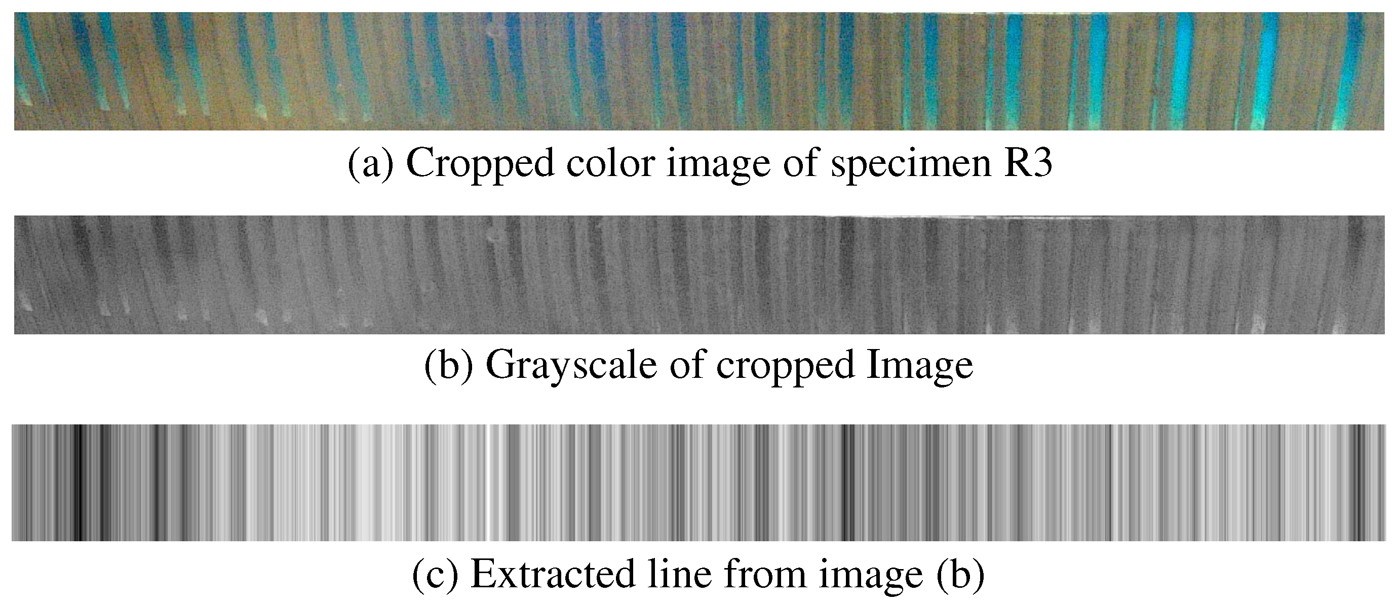 Sensors 25 02598 g006