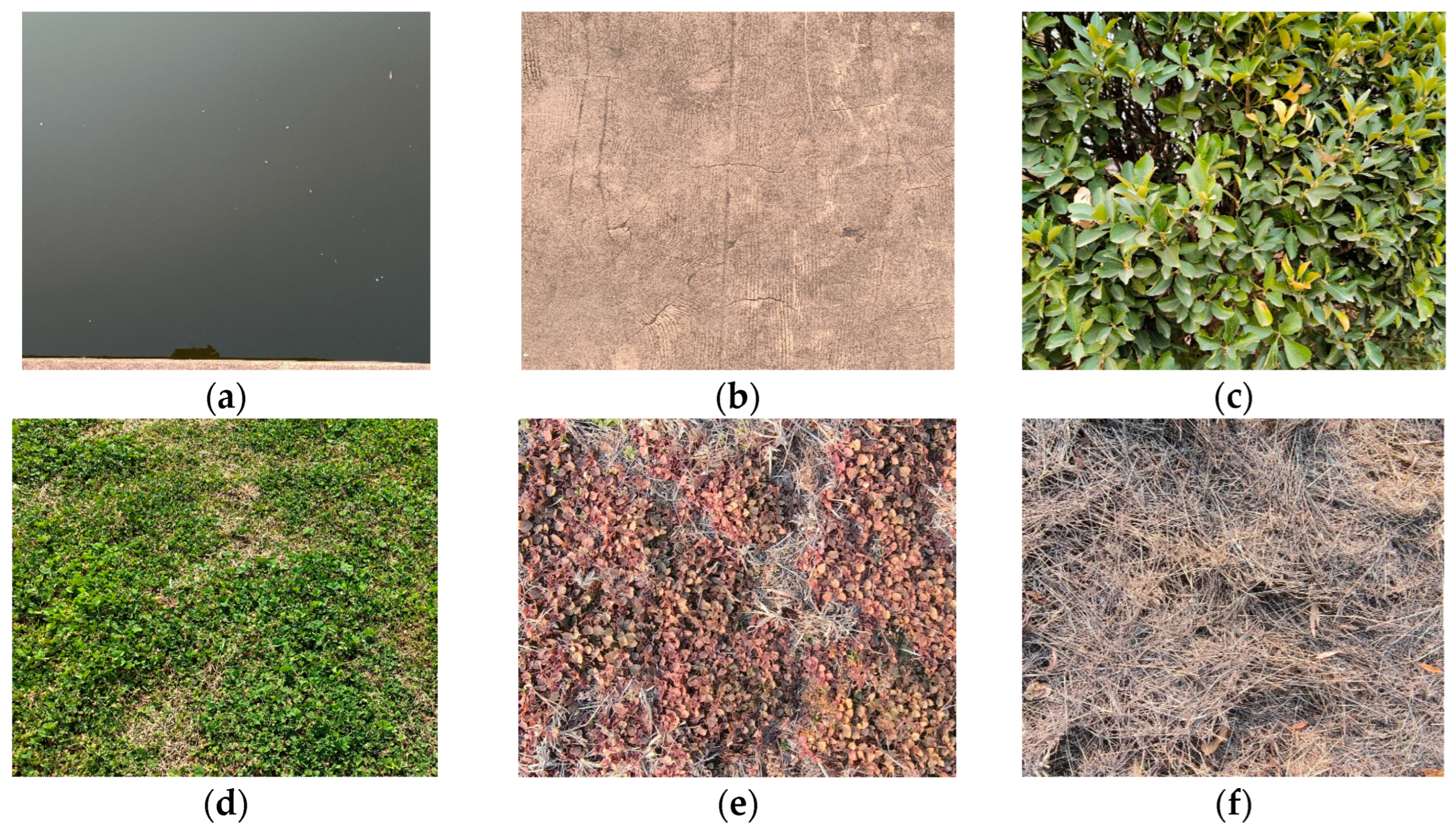 Sensors 25 02604 g010