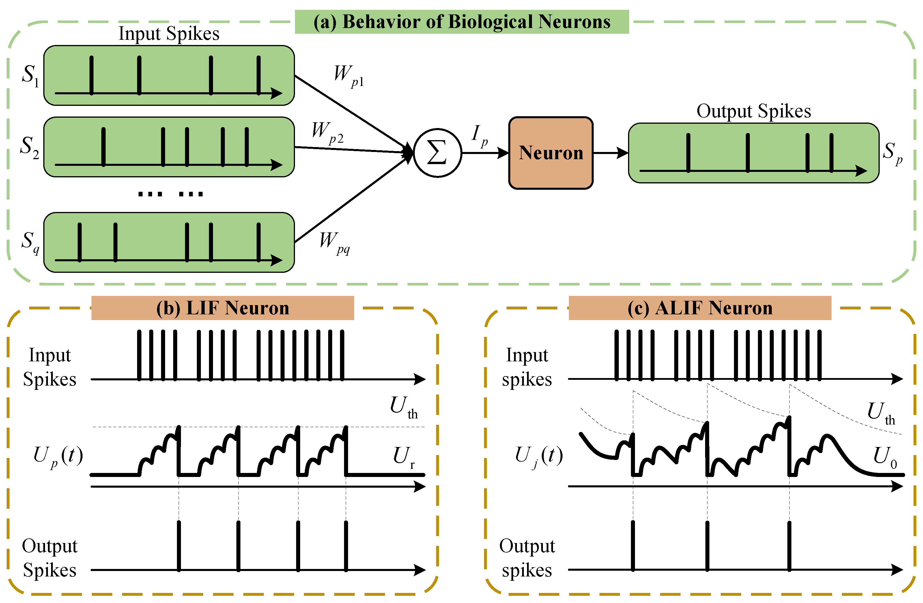 Sensors 25 02607 g003