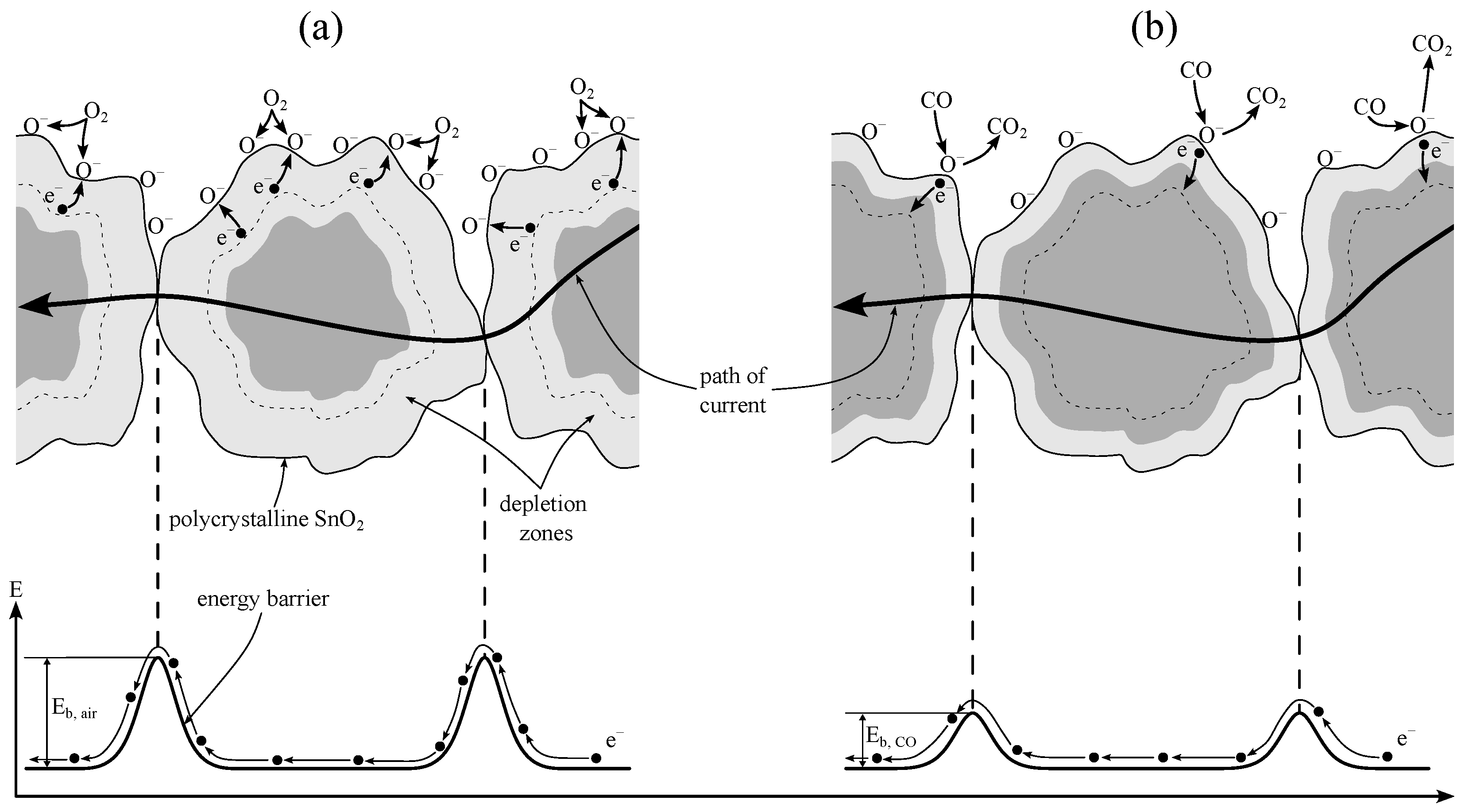 Sensors 25 02617 g005