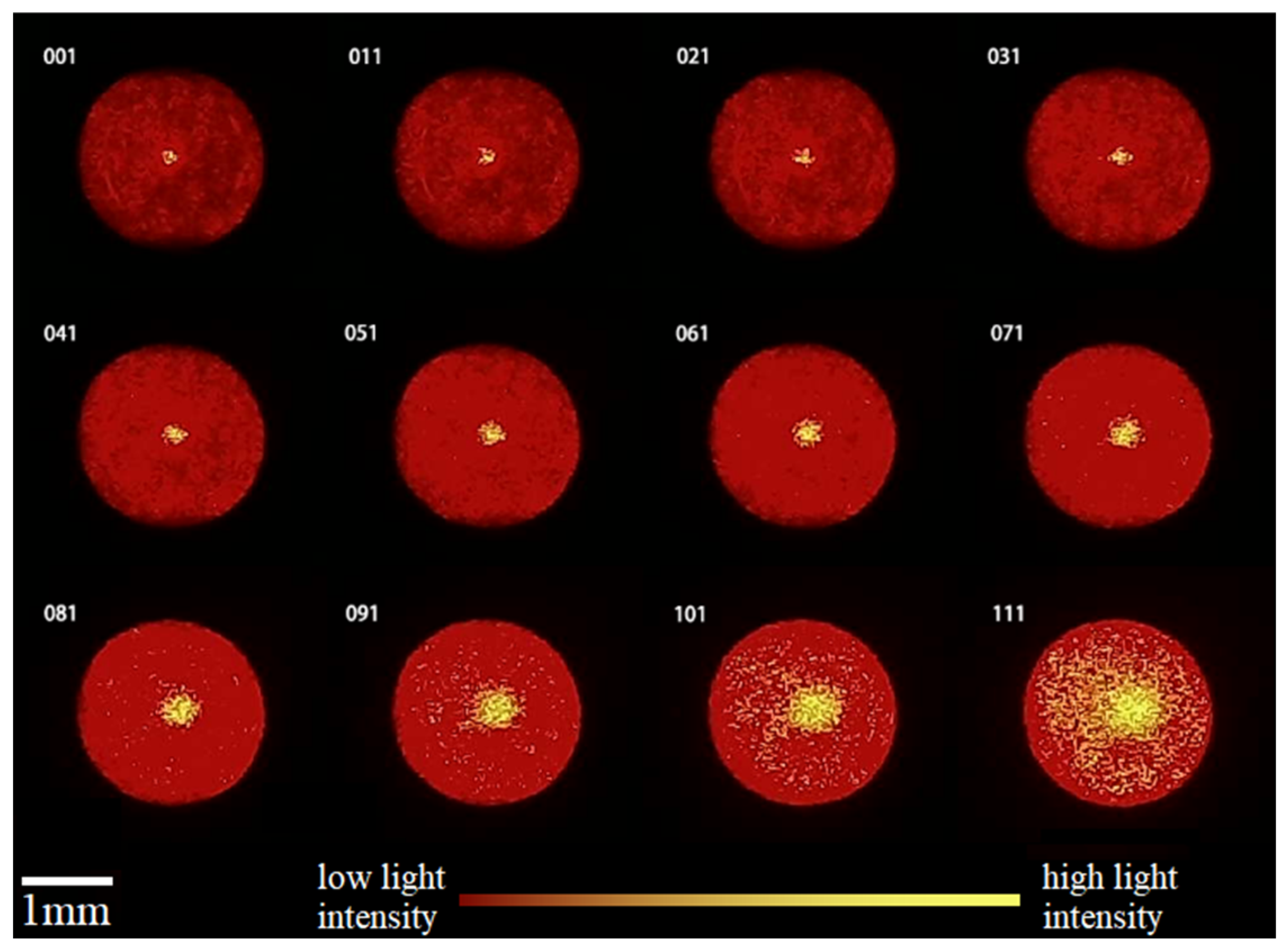Sensors 25 02620 g008