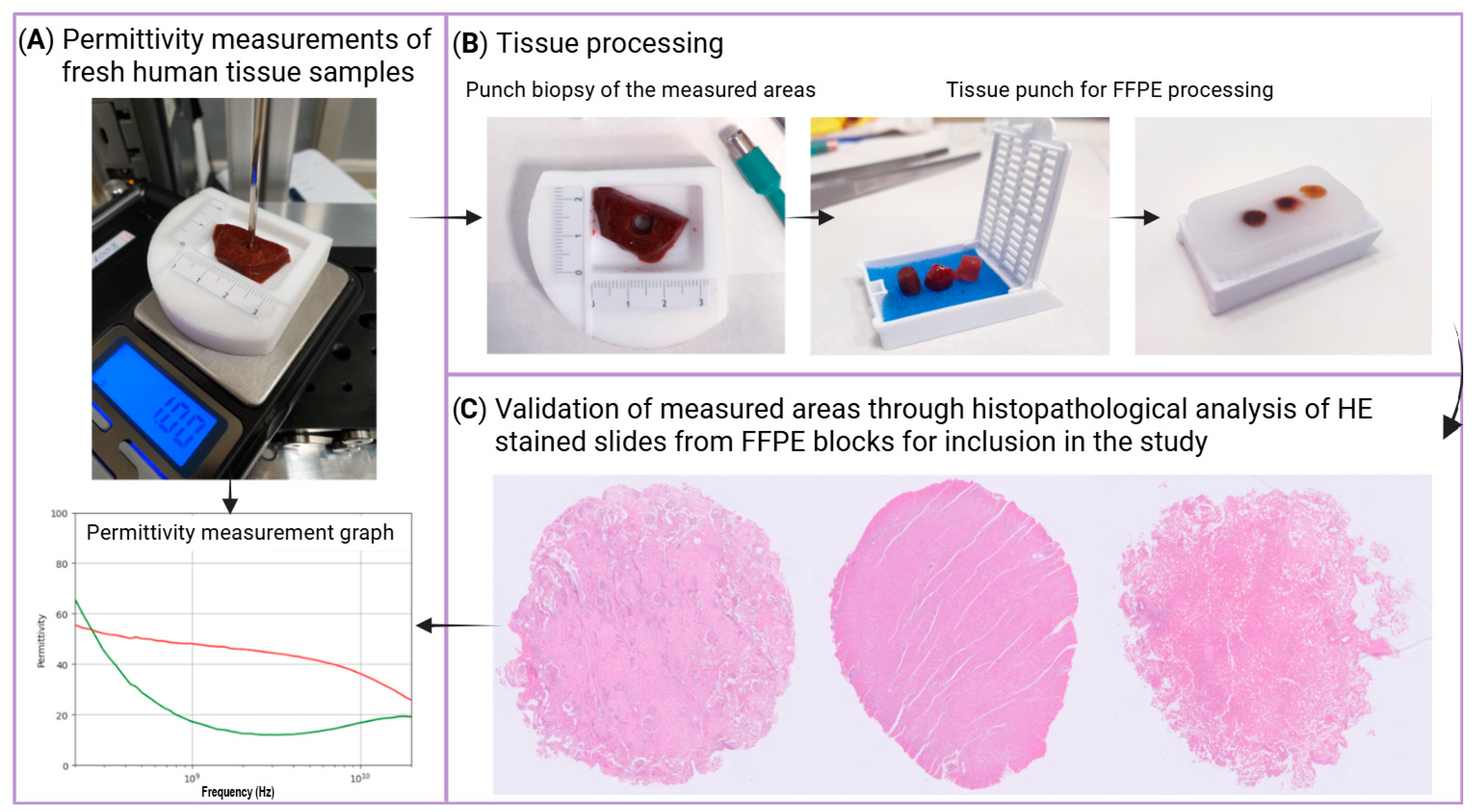 Sensors 25 02626 g003