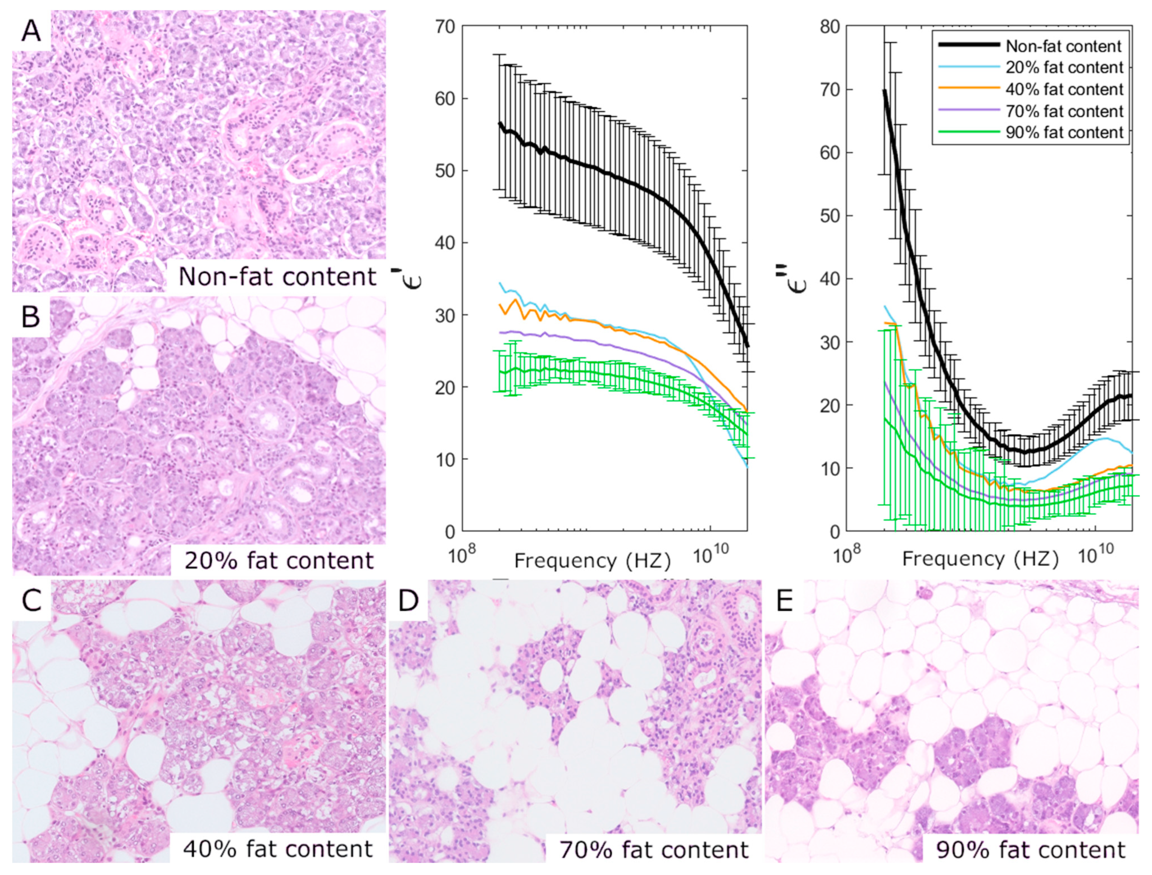 Sensors 25 02626 g005