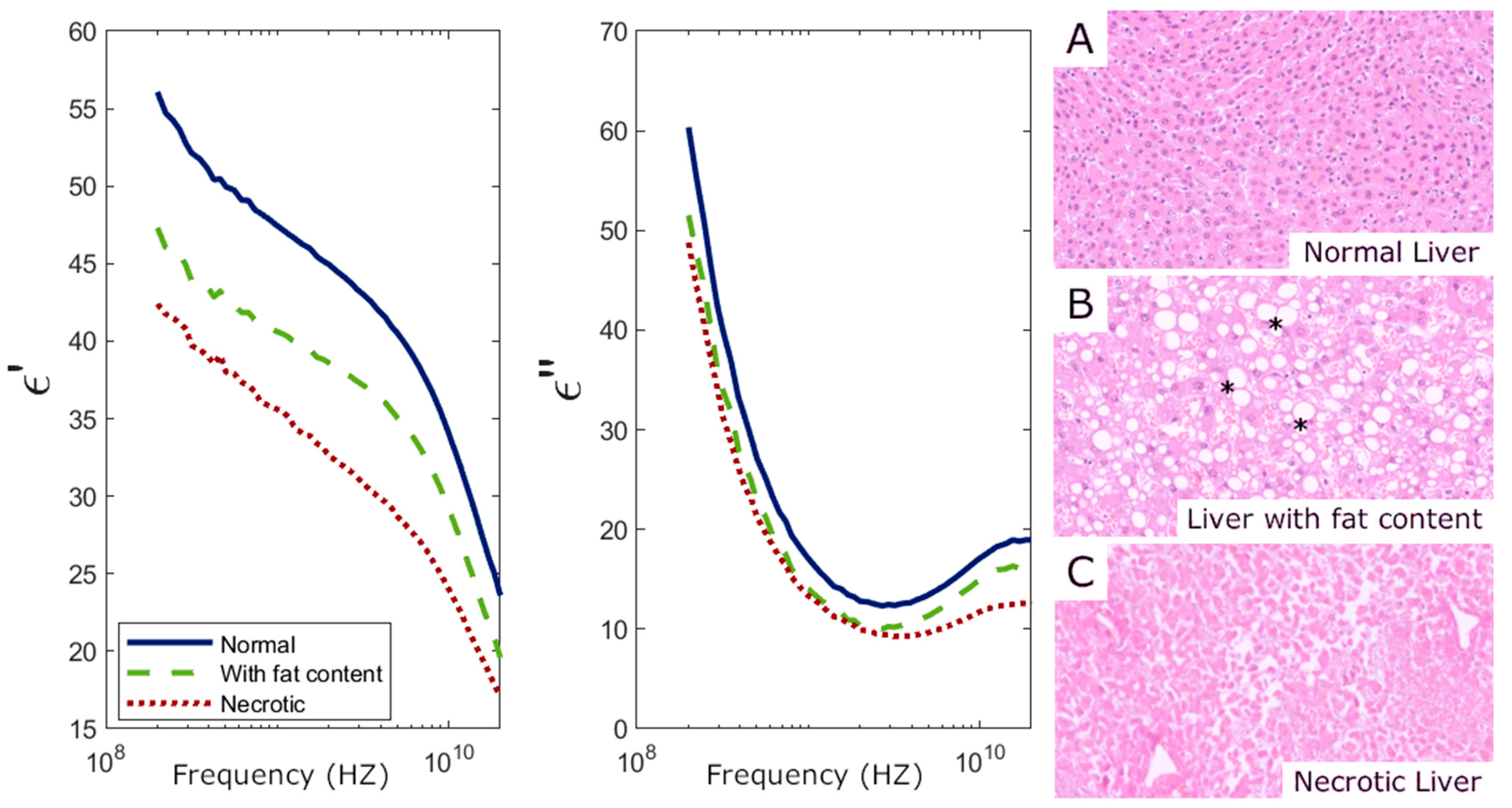 Sensors 25 02626 g006