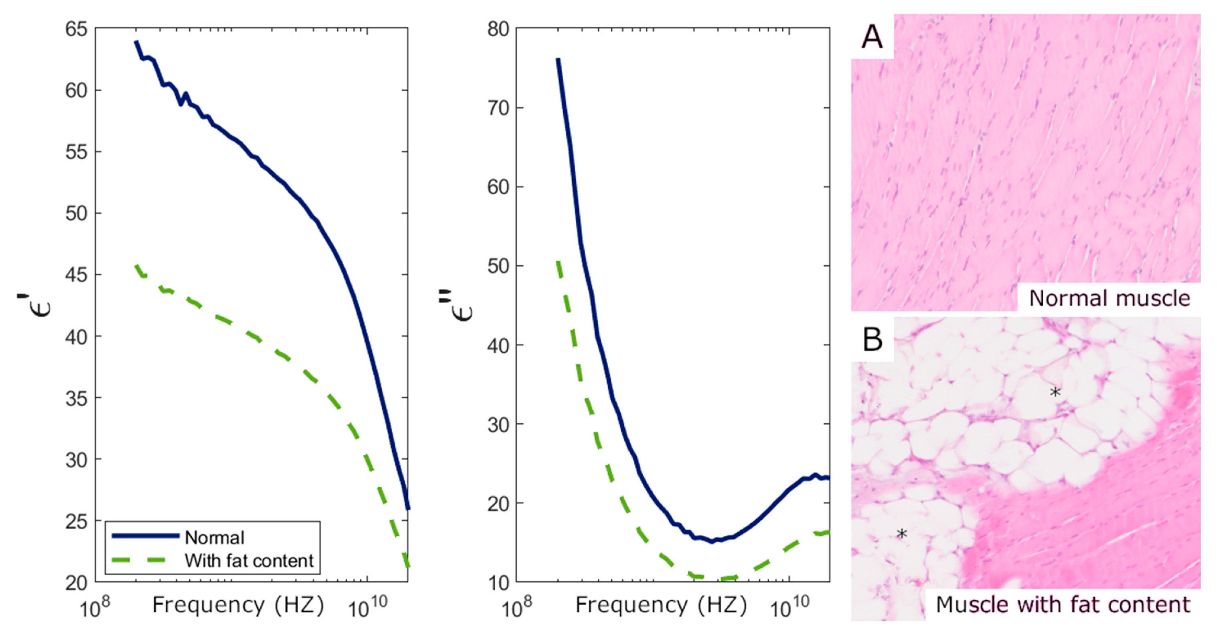 Sensors 25 02626 g007