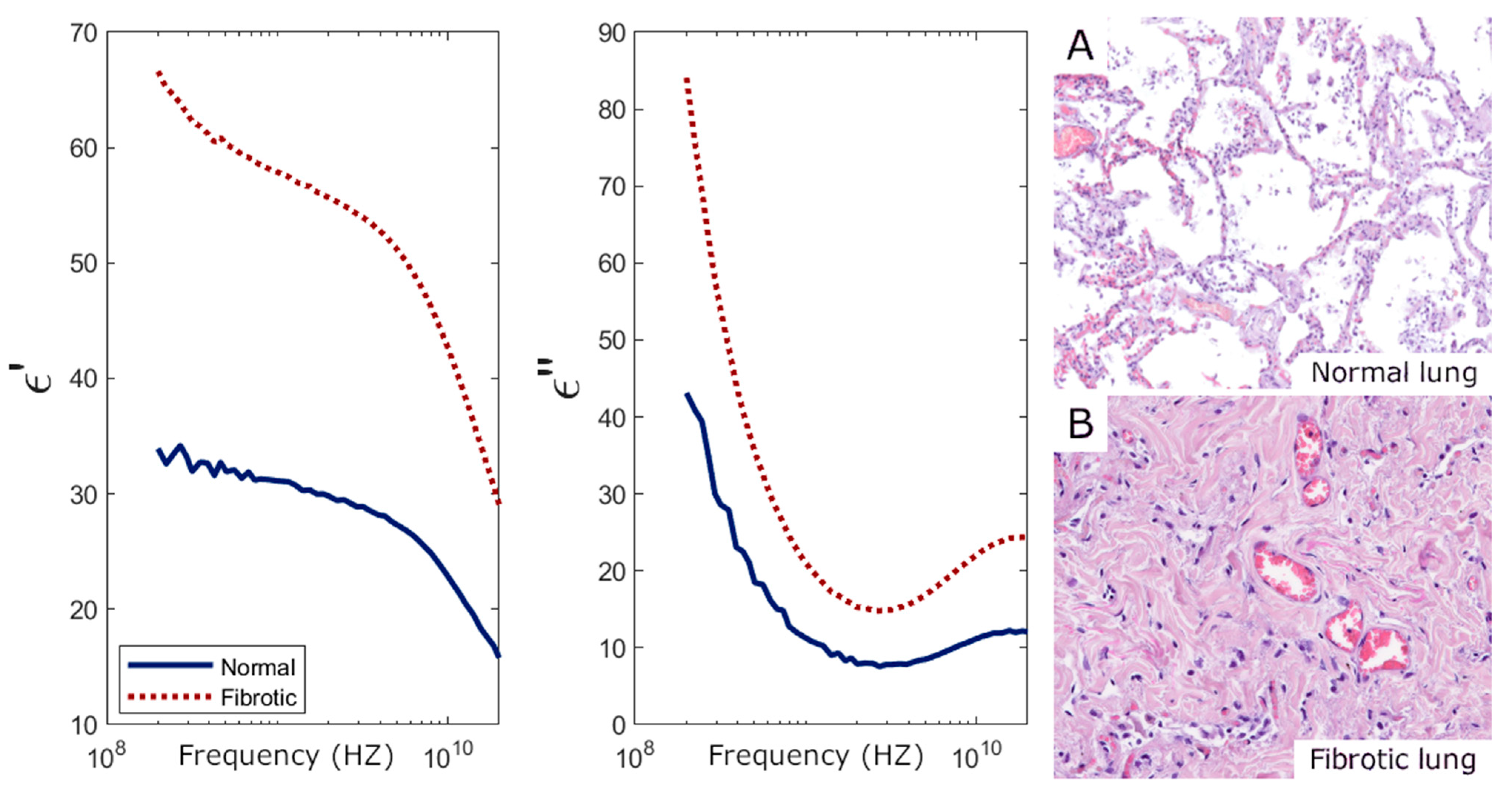 Sensors 25 02626 g008