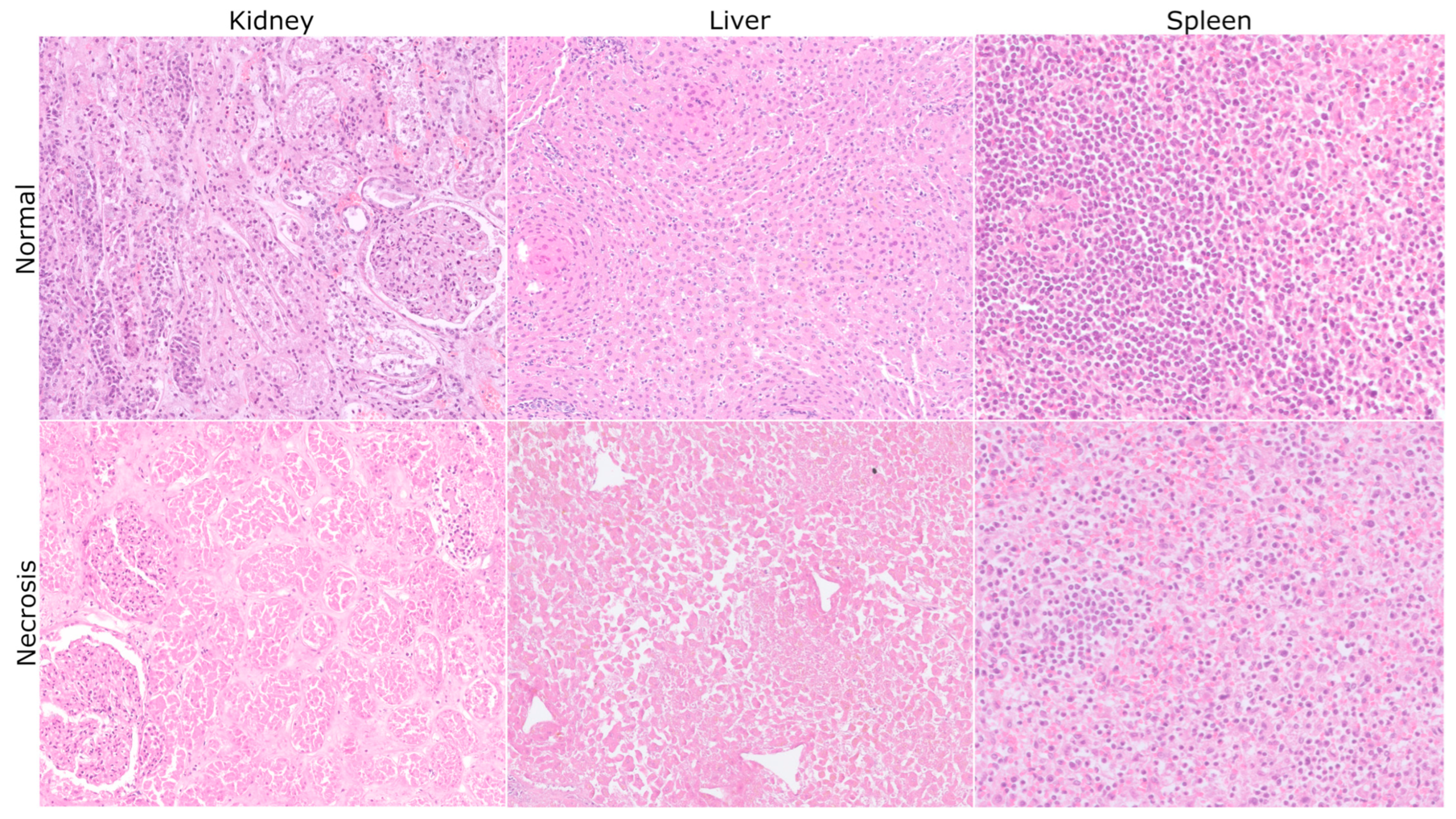 Sensors 25 02626 g009