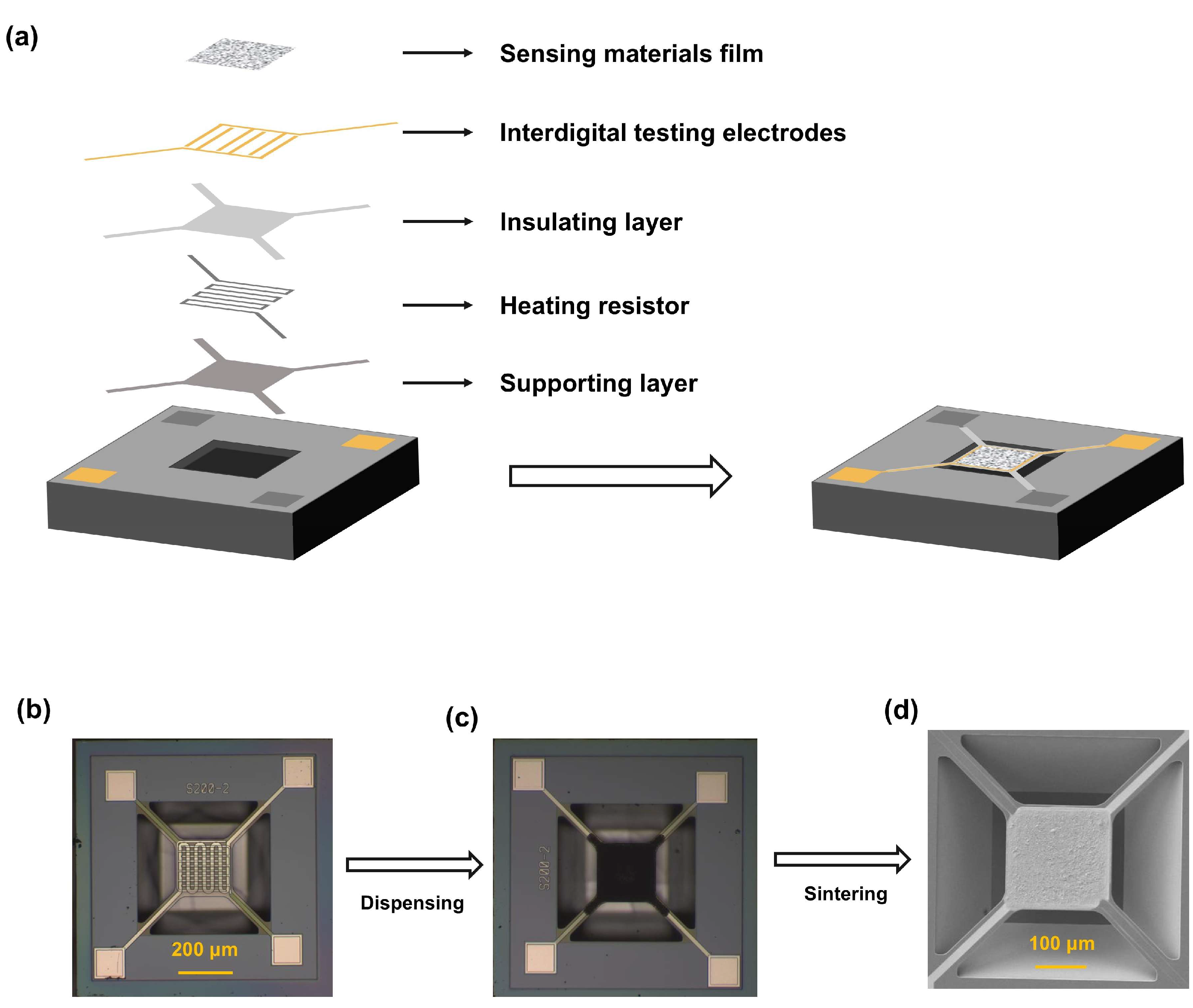 Sensors 25 02633 g001