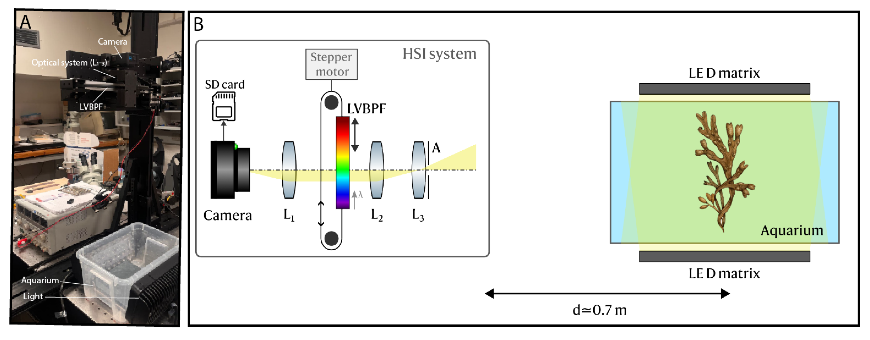 Sensors 25 02652 g001