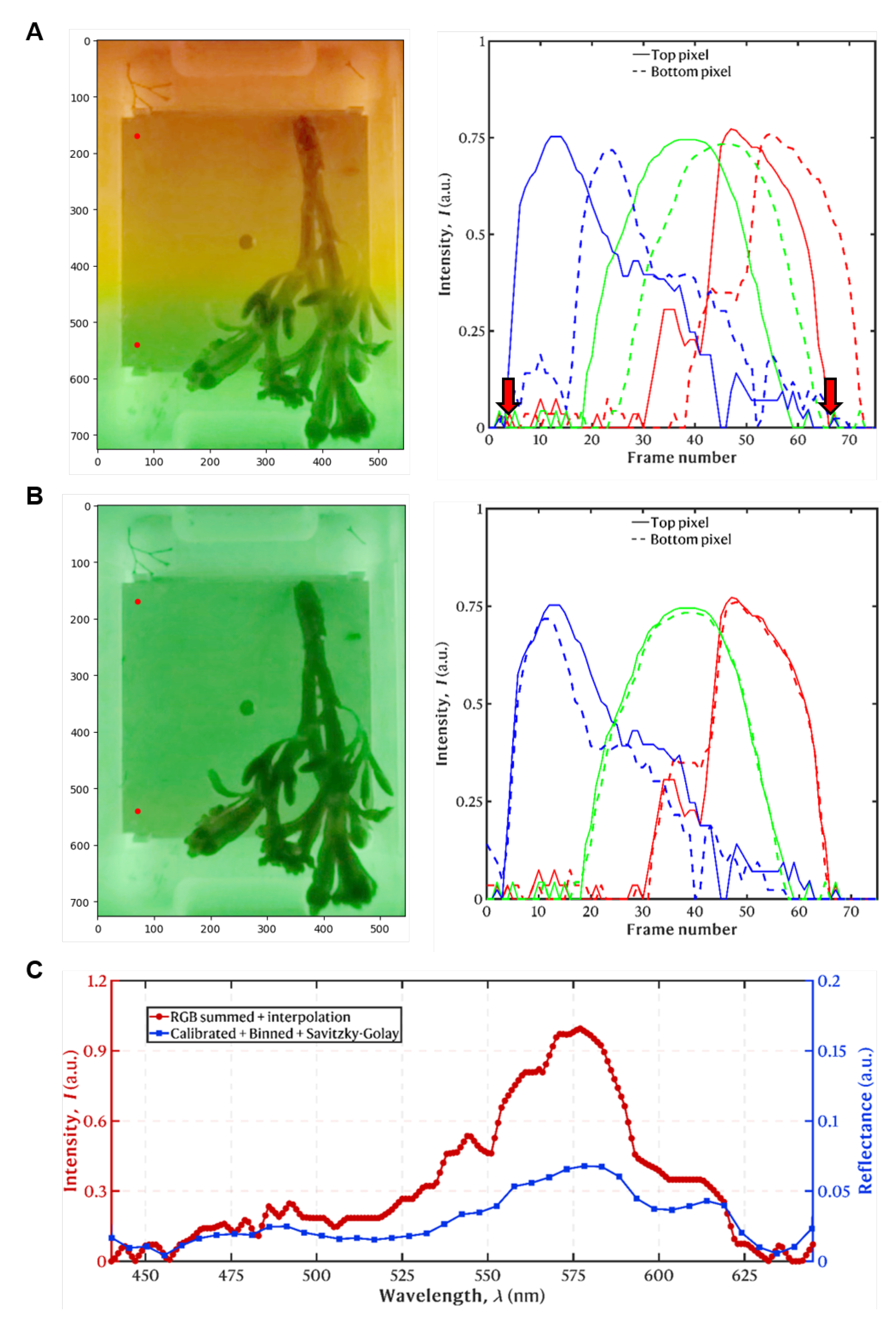 Sensors 25 02652 g007