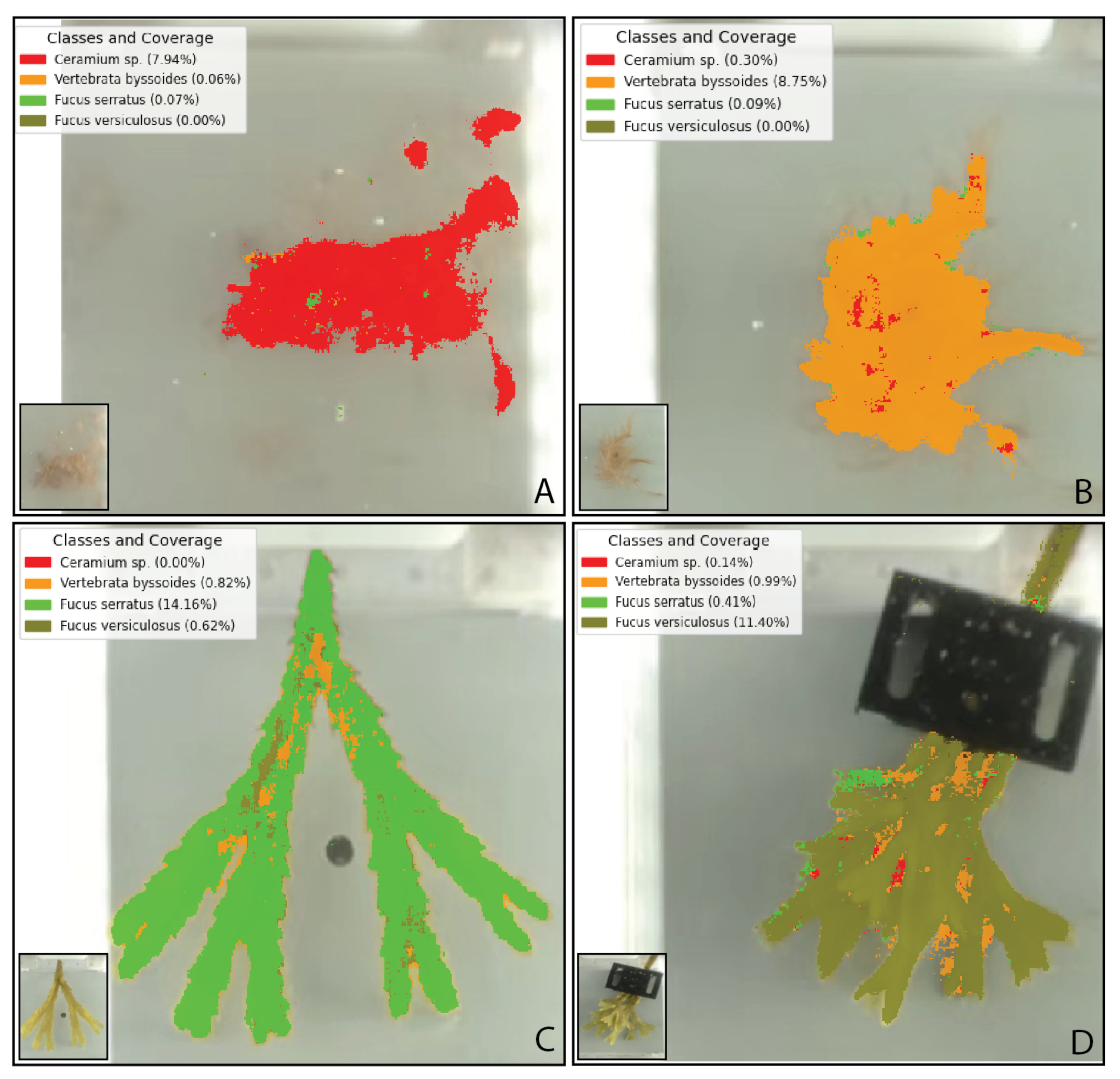 Sensors 25 02652 g010