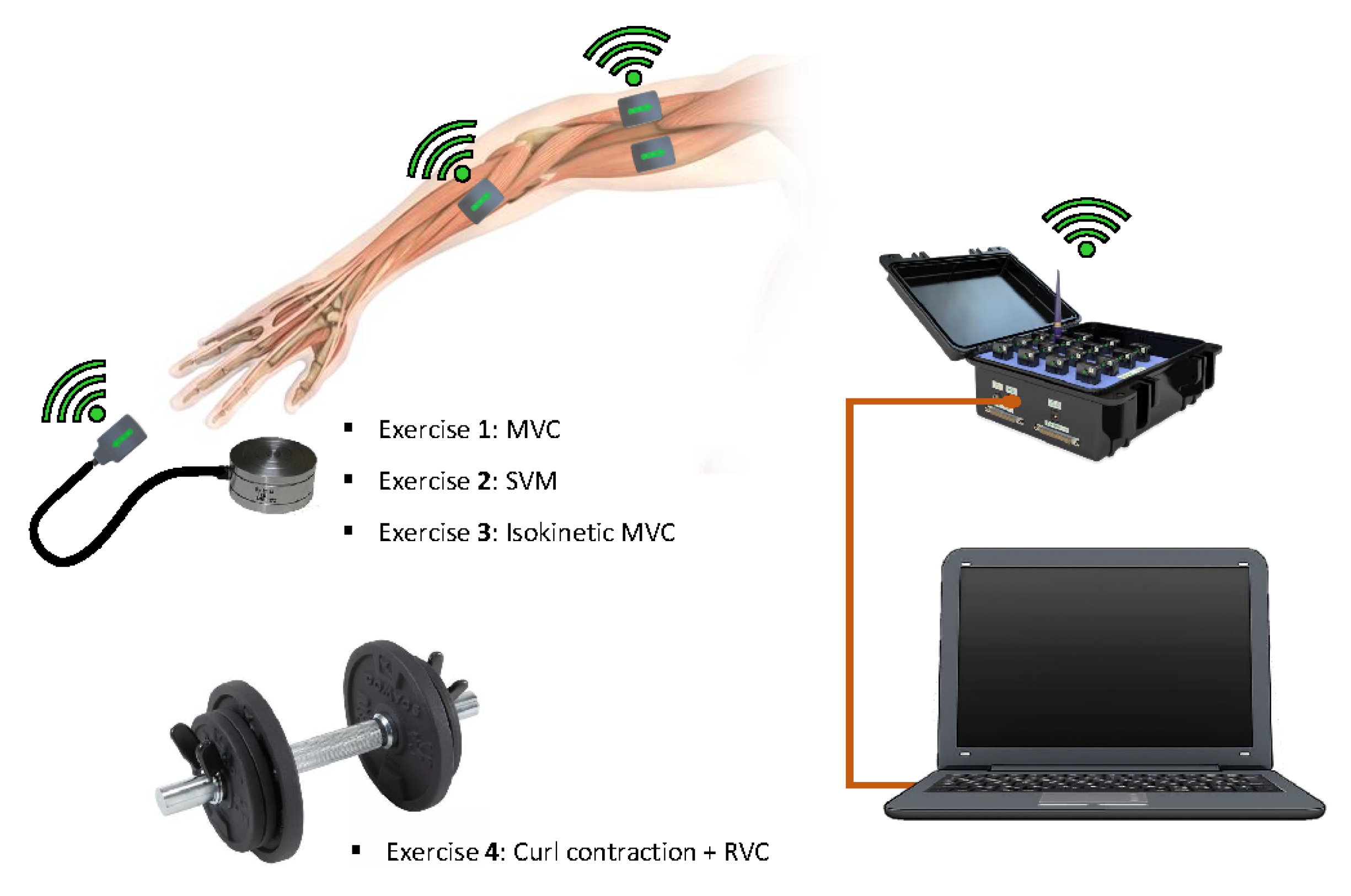 Sensors 25 02668 g001