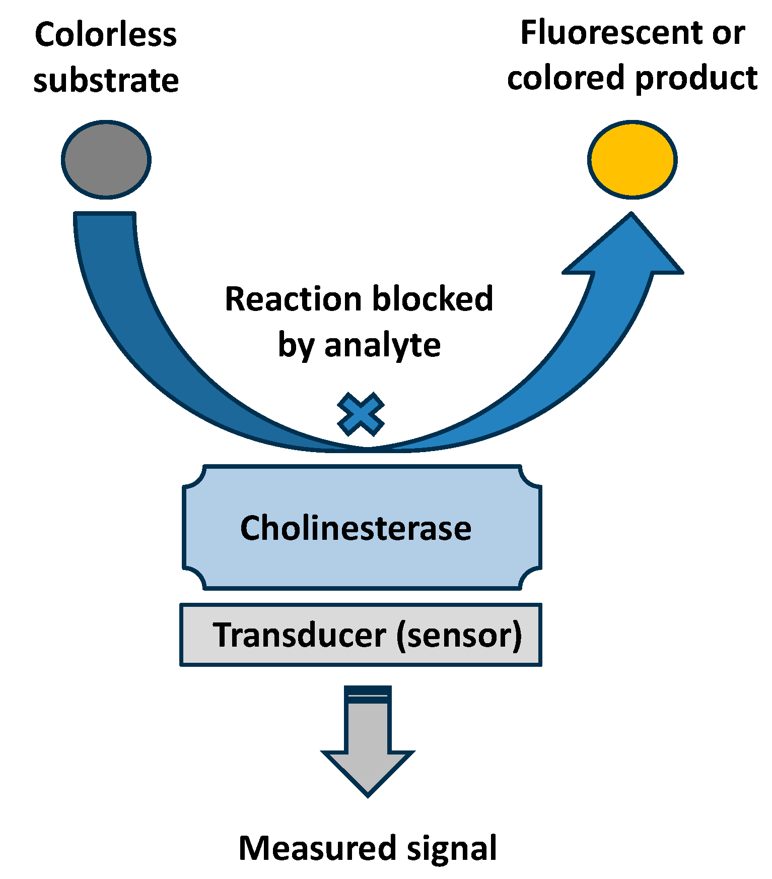 Sensors 25 02674 g003