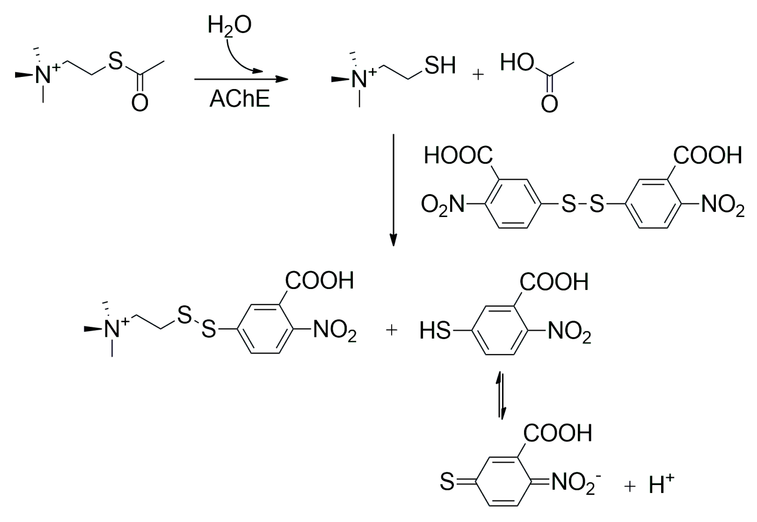 Sensors 25 02674 g004