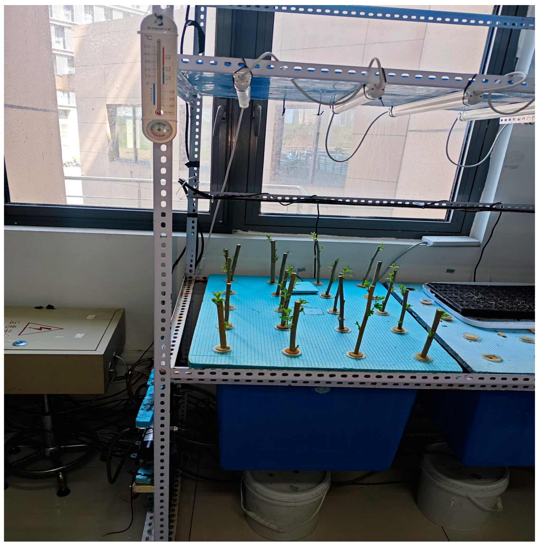 Sensors 25 02691 g001