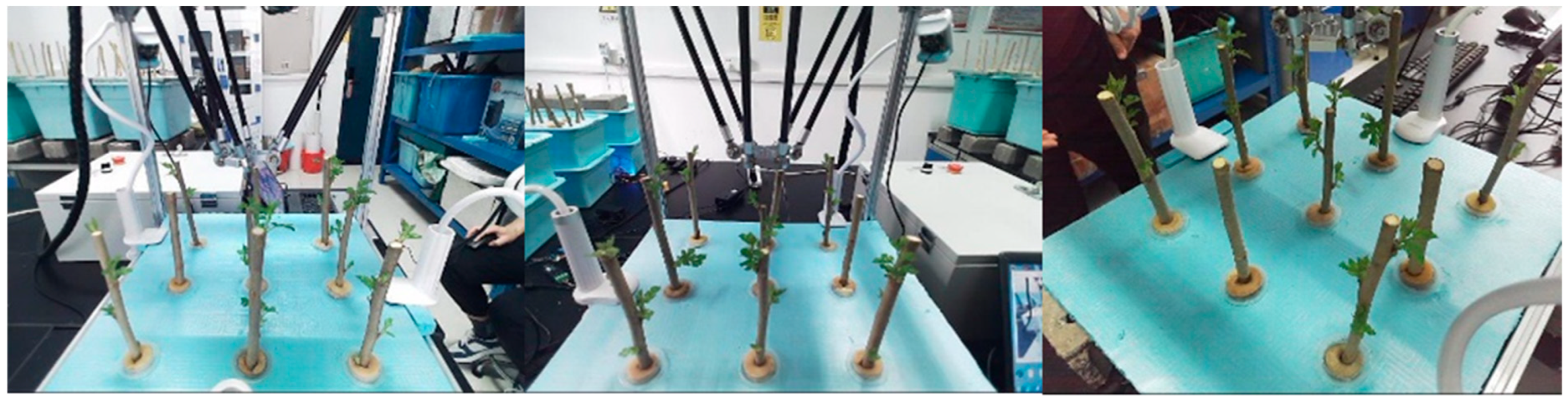 Sensors 25 02691 g010