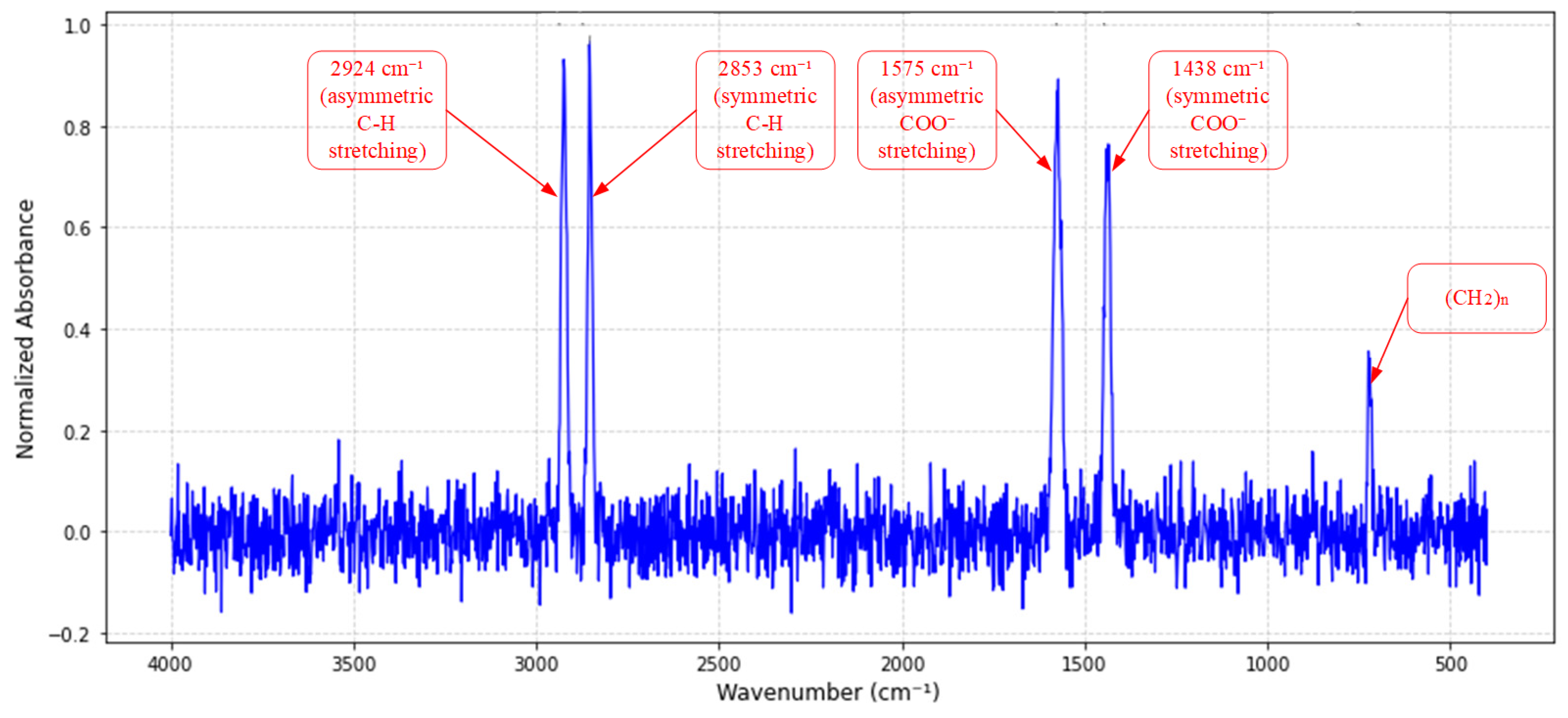 Sensors 25 02695 g002