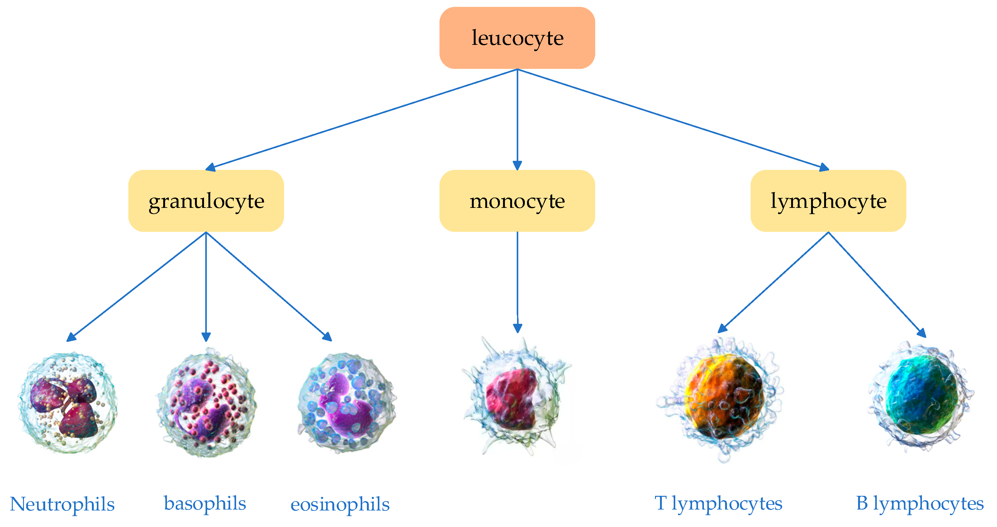 Sensors 25 02699 g001
