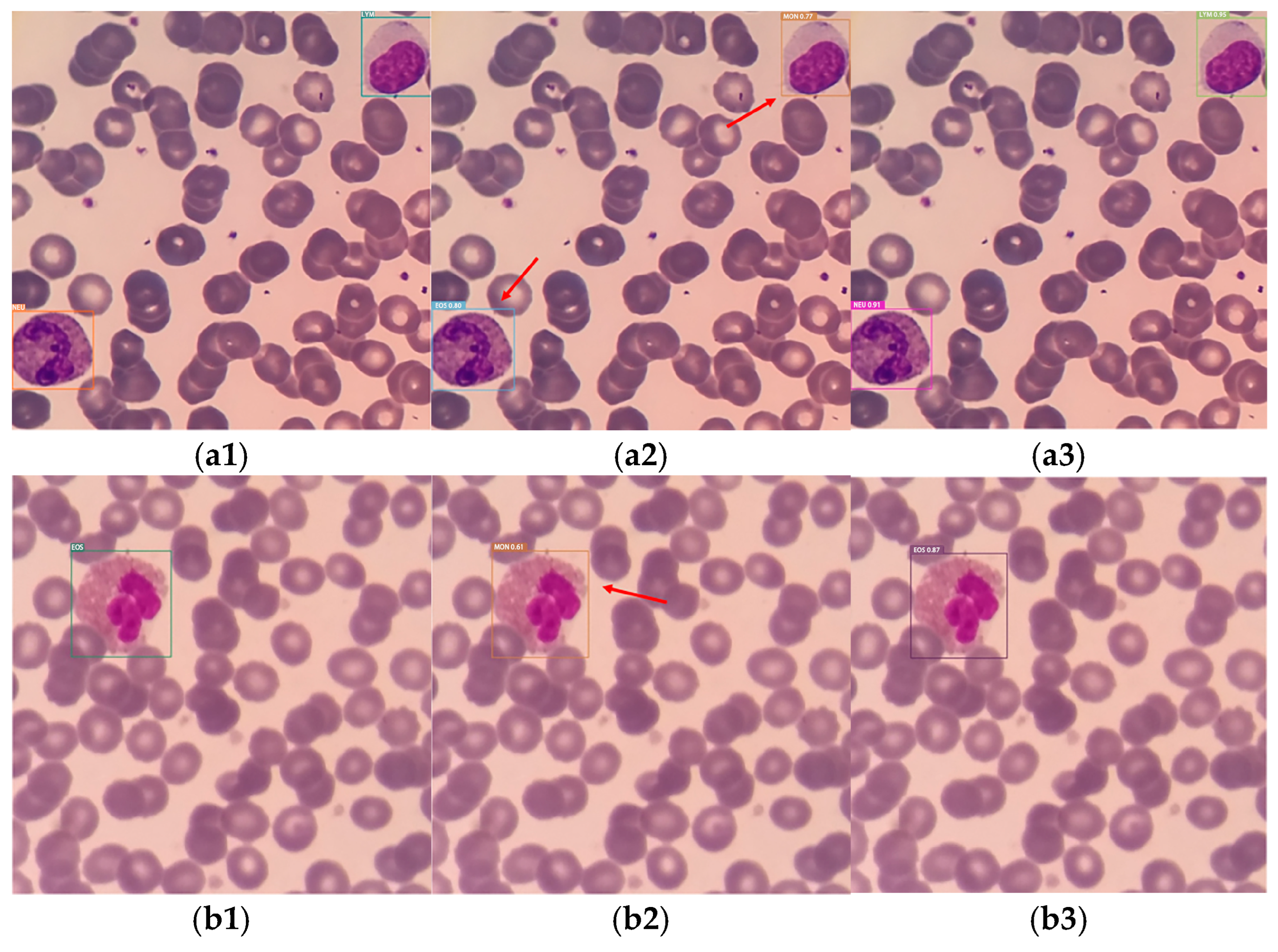 Sensors 25 02699 g010a