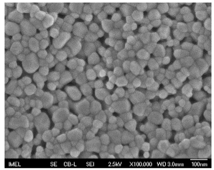 Sensors 25 02705 i010