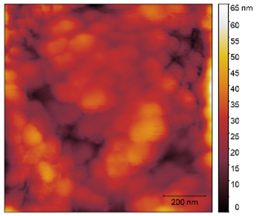 Sensors 25 02705 i015