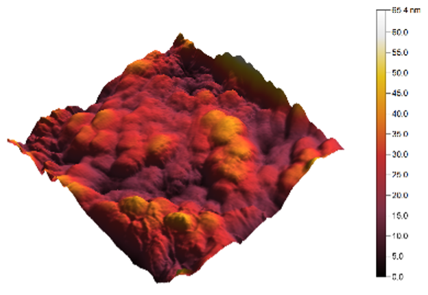 Sensors 25 02705 i016