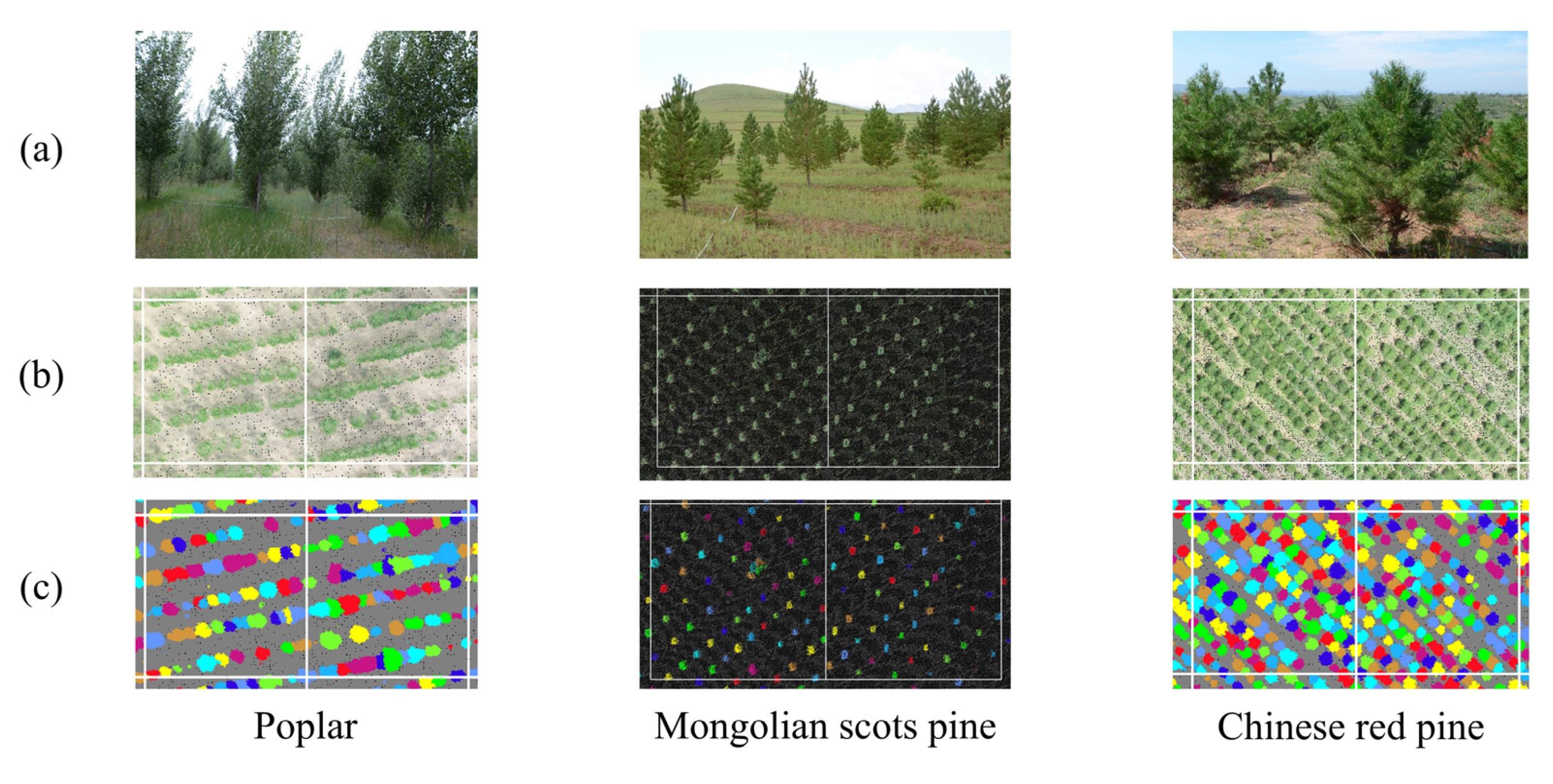 Sensors 25 02707 g004