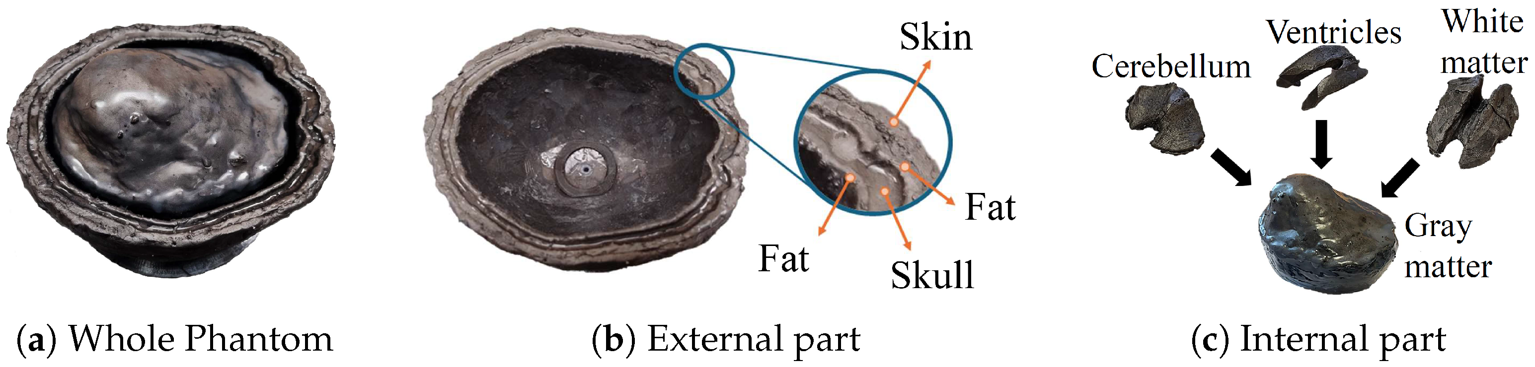 Sensors 25 02718 g005