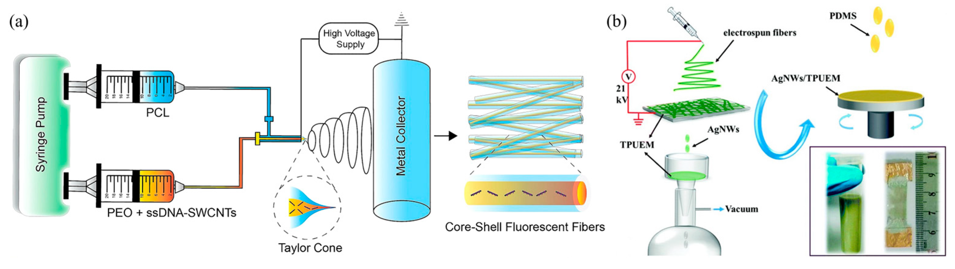 Sensors 25 02724 g008