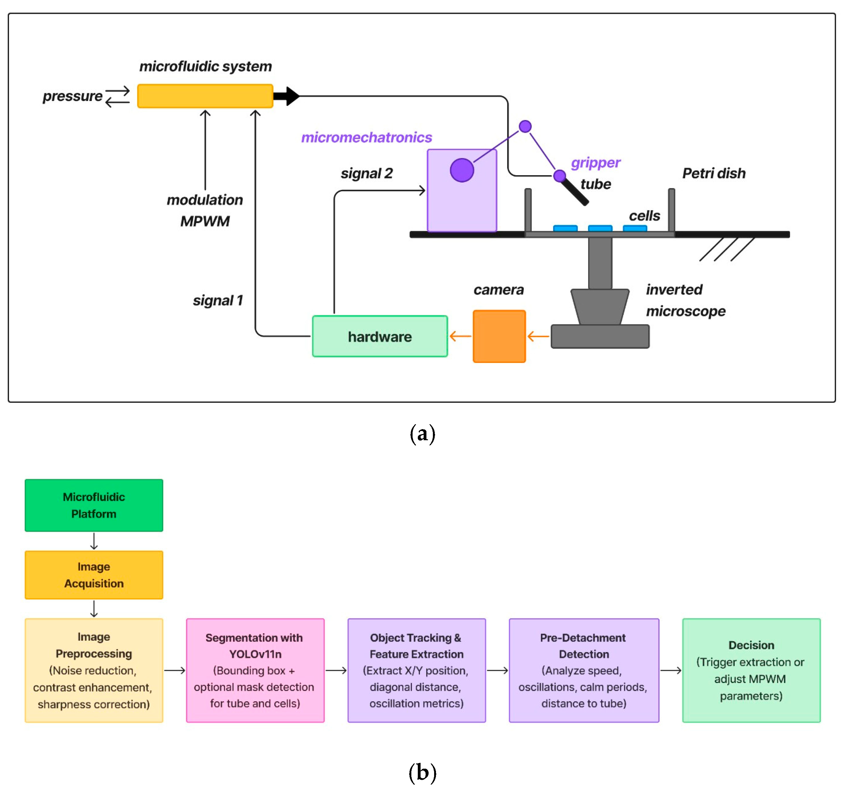 Sensors 25 02726 g001