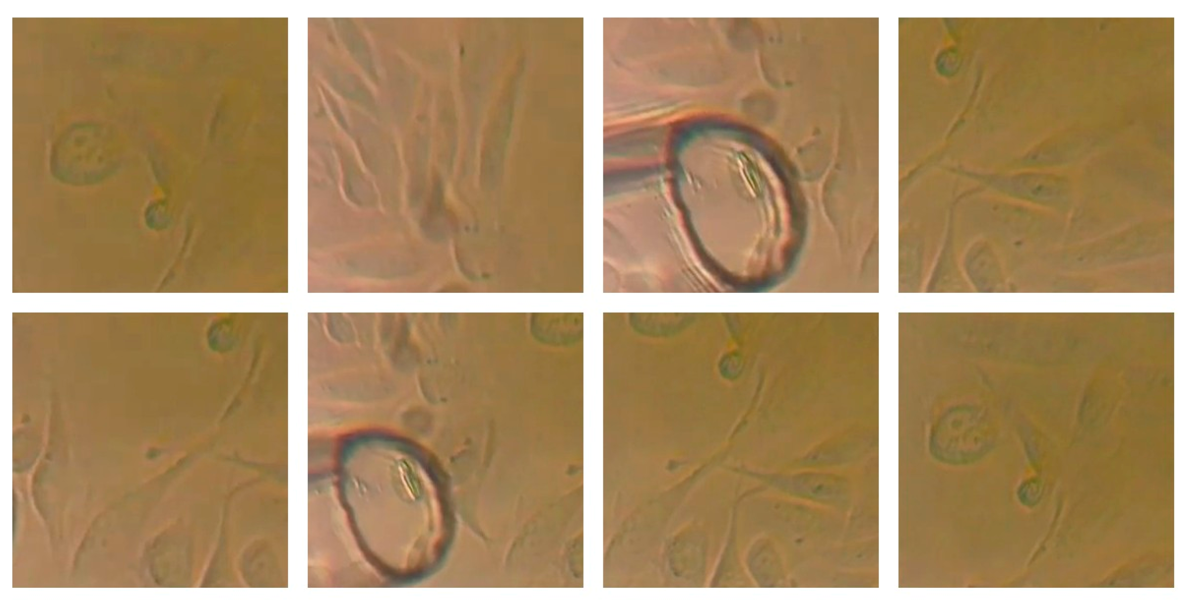 Sensors 25 02726 g002