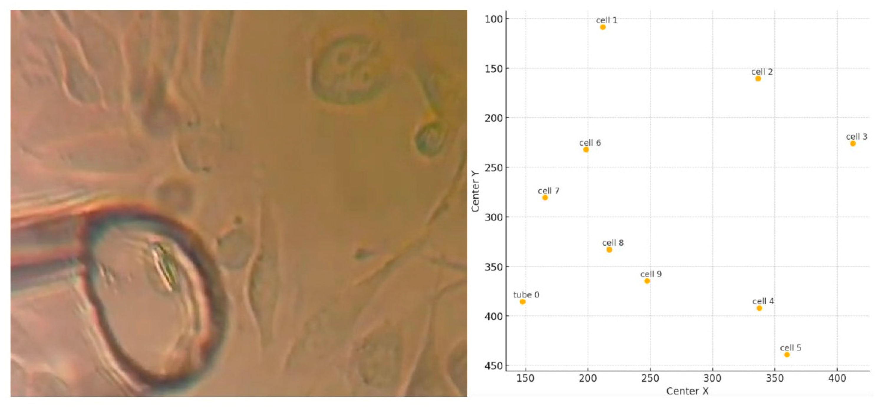 Sensors 25 02726 g003