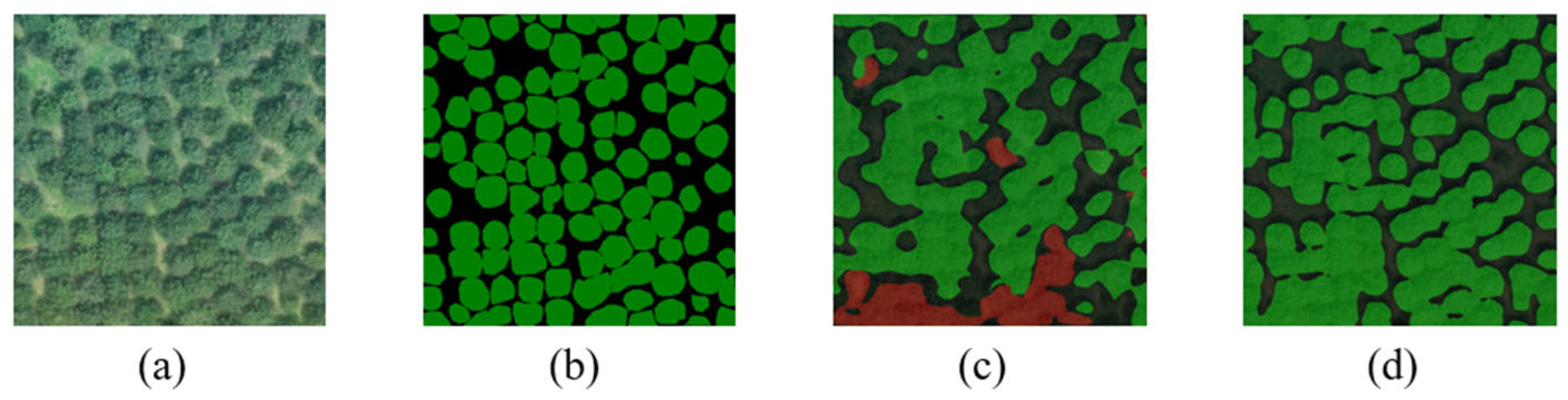 Sensors 25 02729 g013