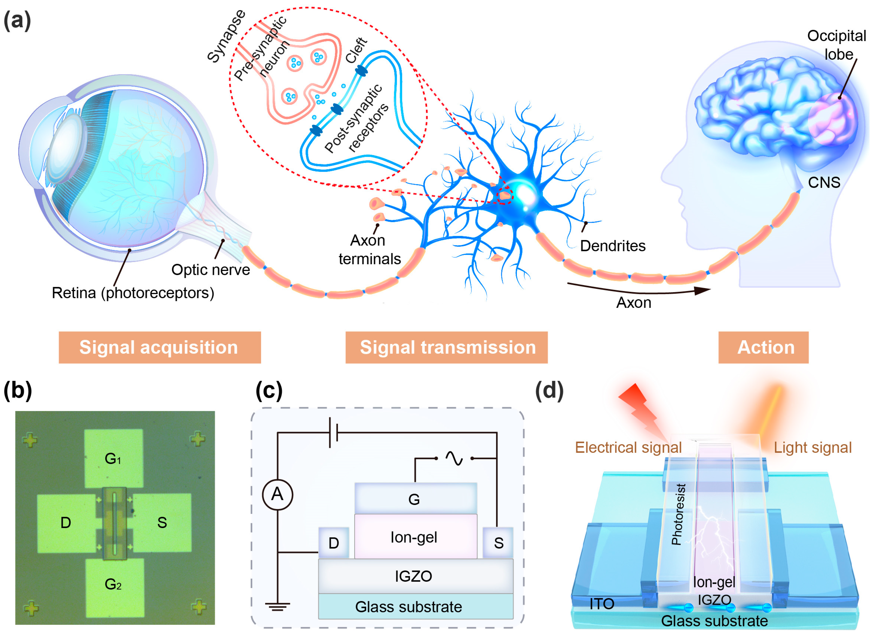 Sensors 25 02750 g001