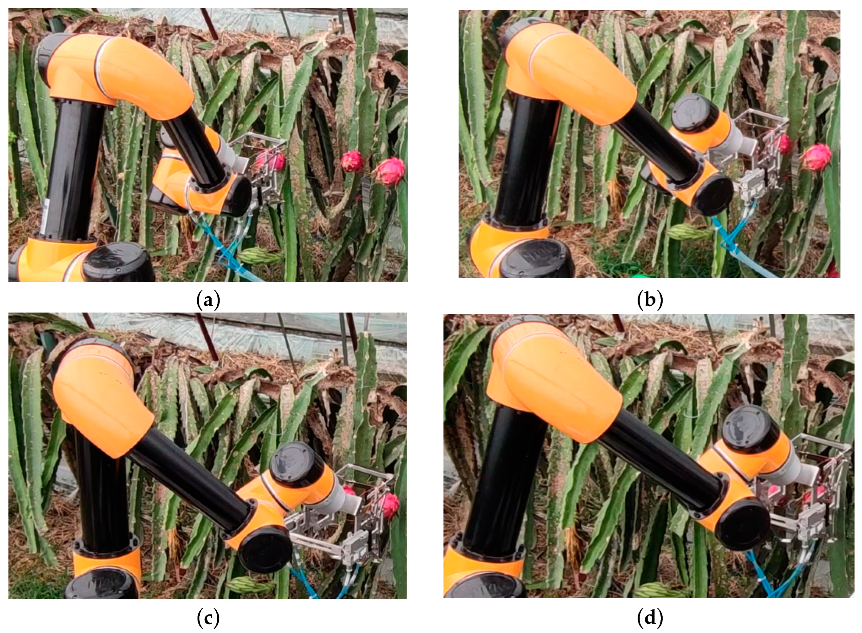 Sensors 25 02773 g014