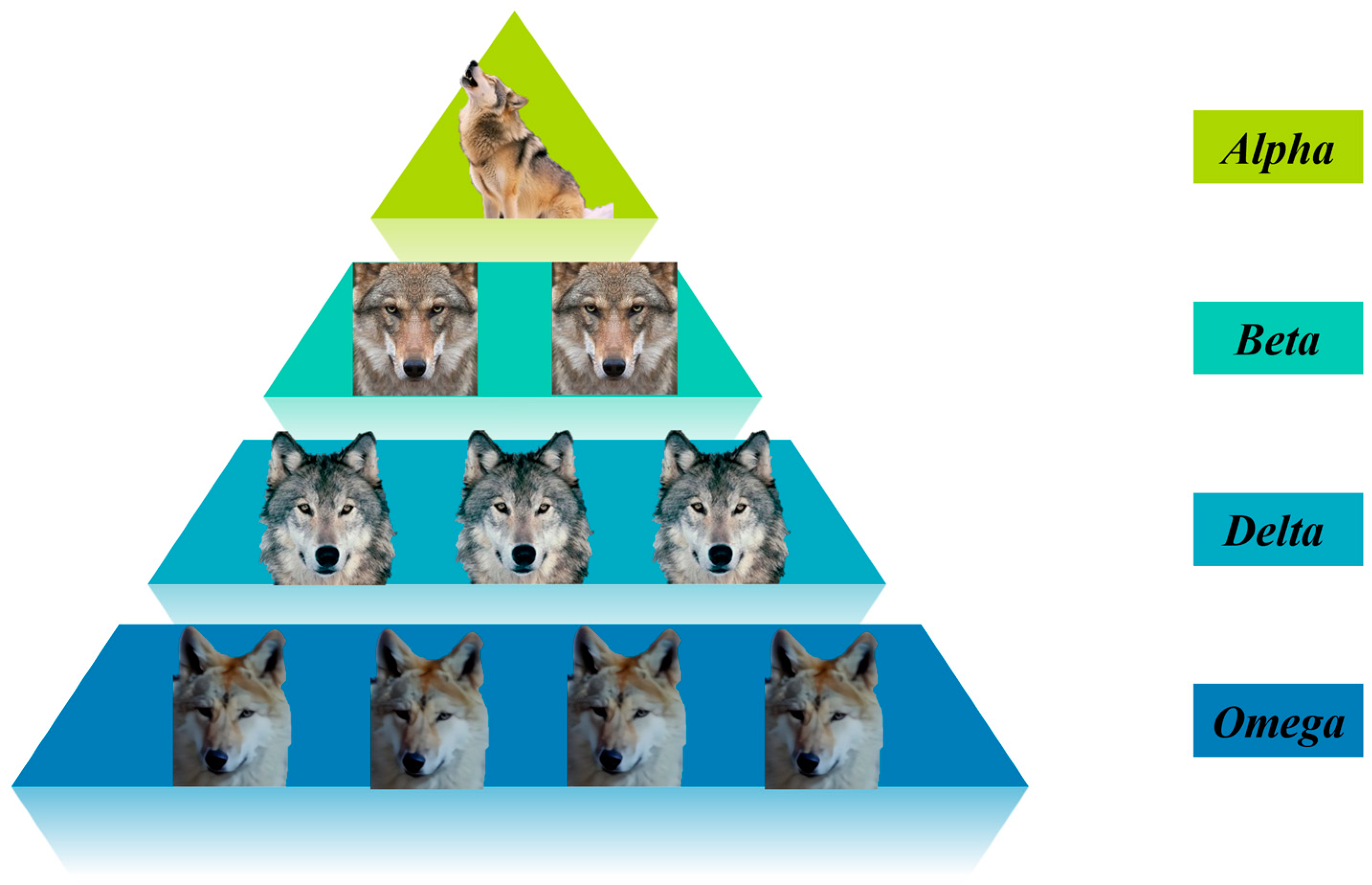 Sensors 25 02785 g003