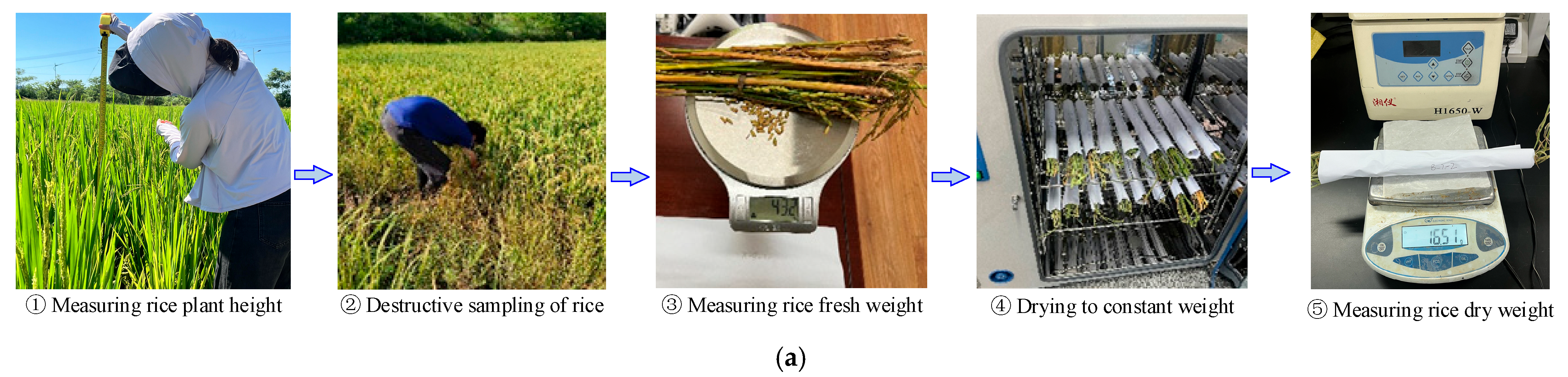Sensors 25 02798 g002a