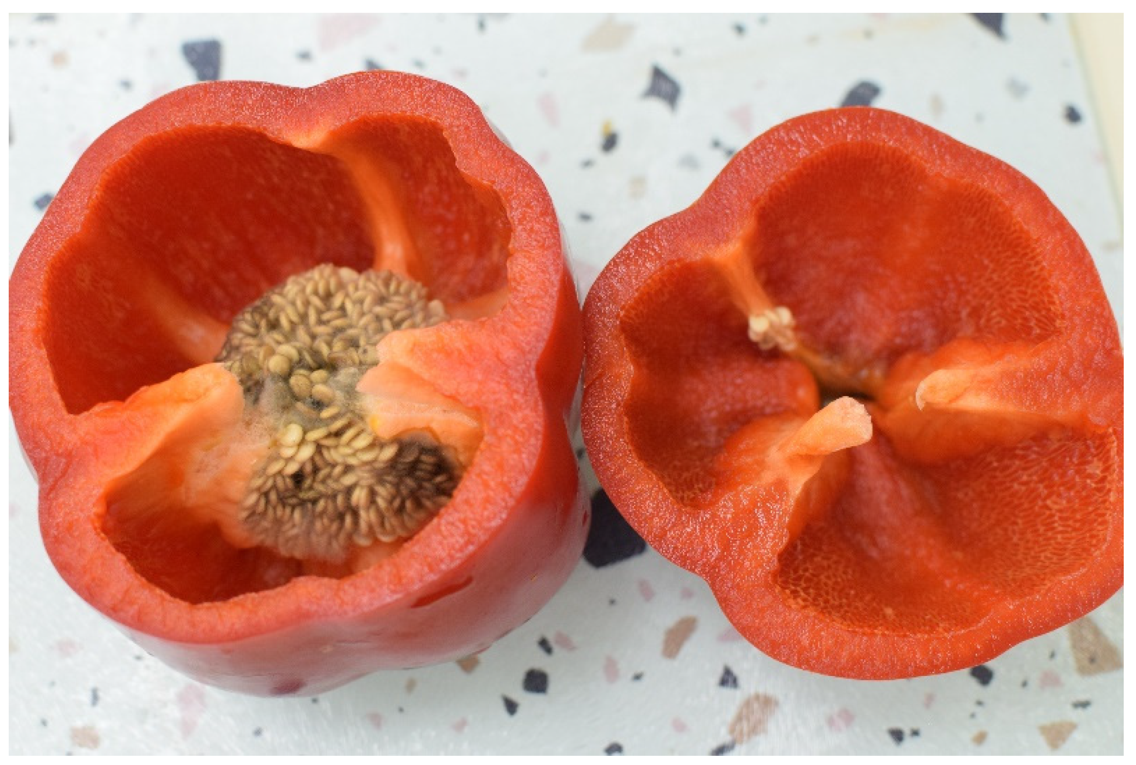 Sensors 25 02805 g001