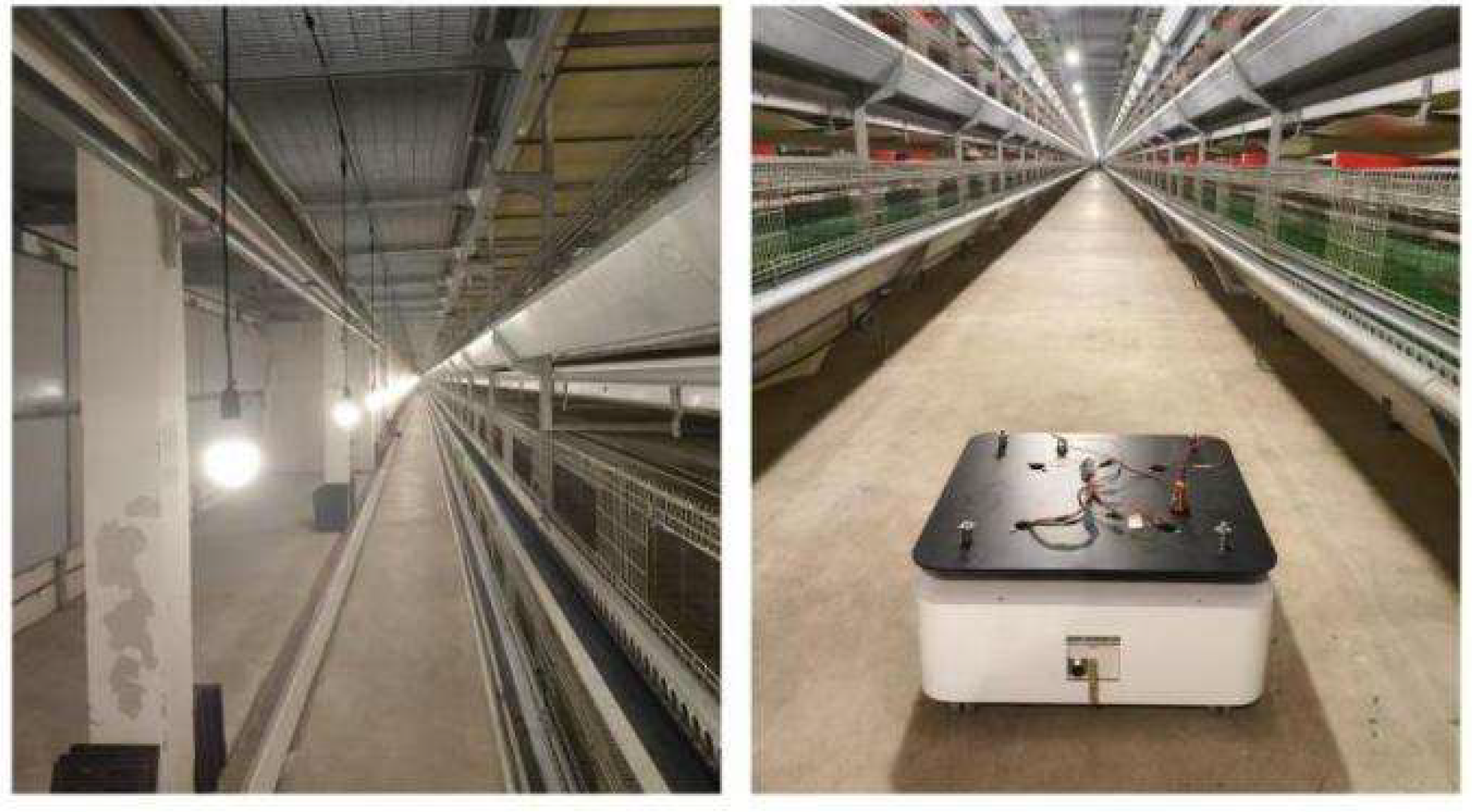 Sensors 25 02822 g008