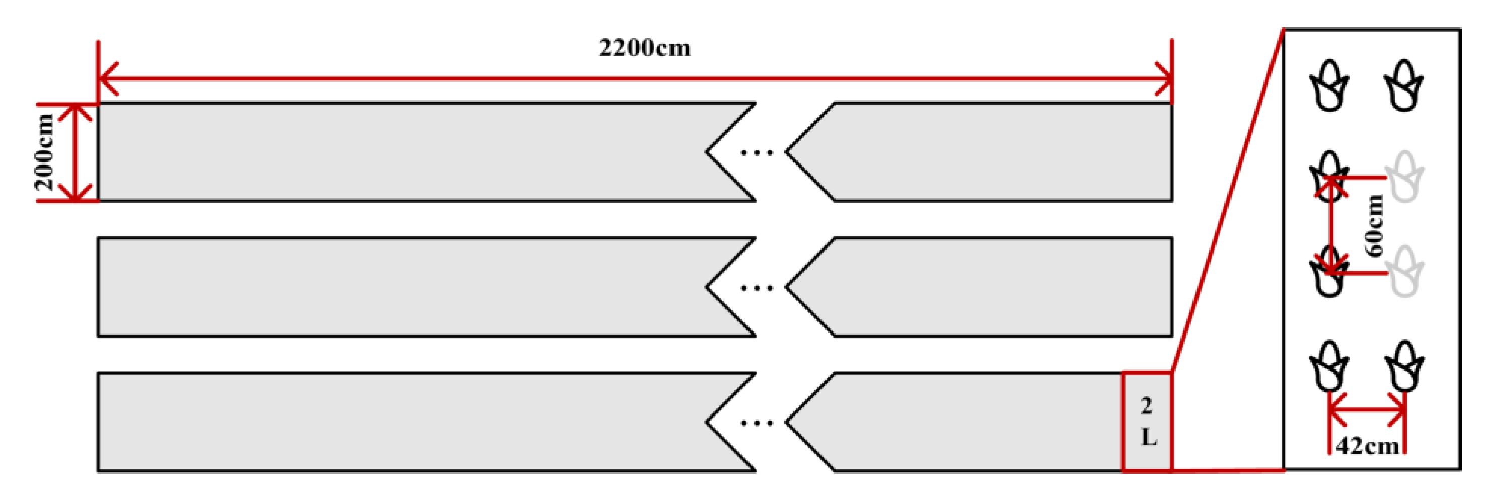 Sensors 25 02854 g002