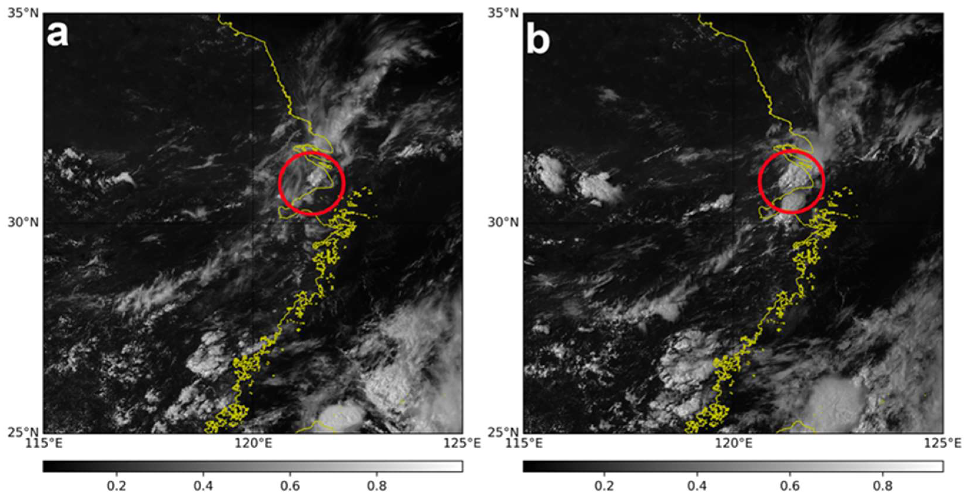 Sensors 25 02870 g005