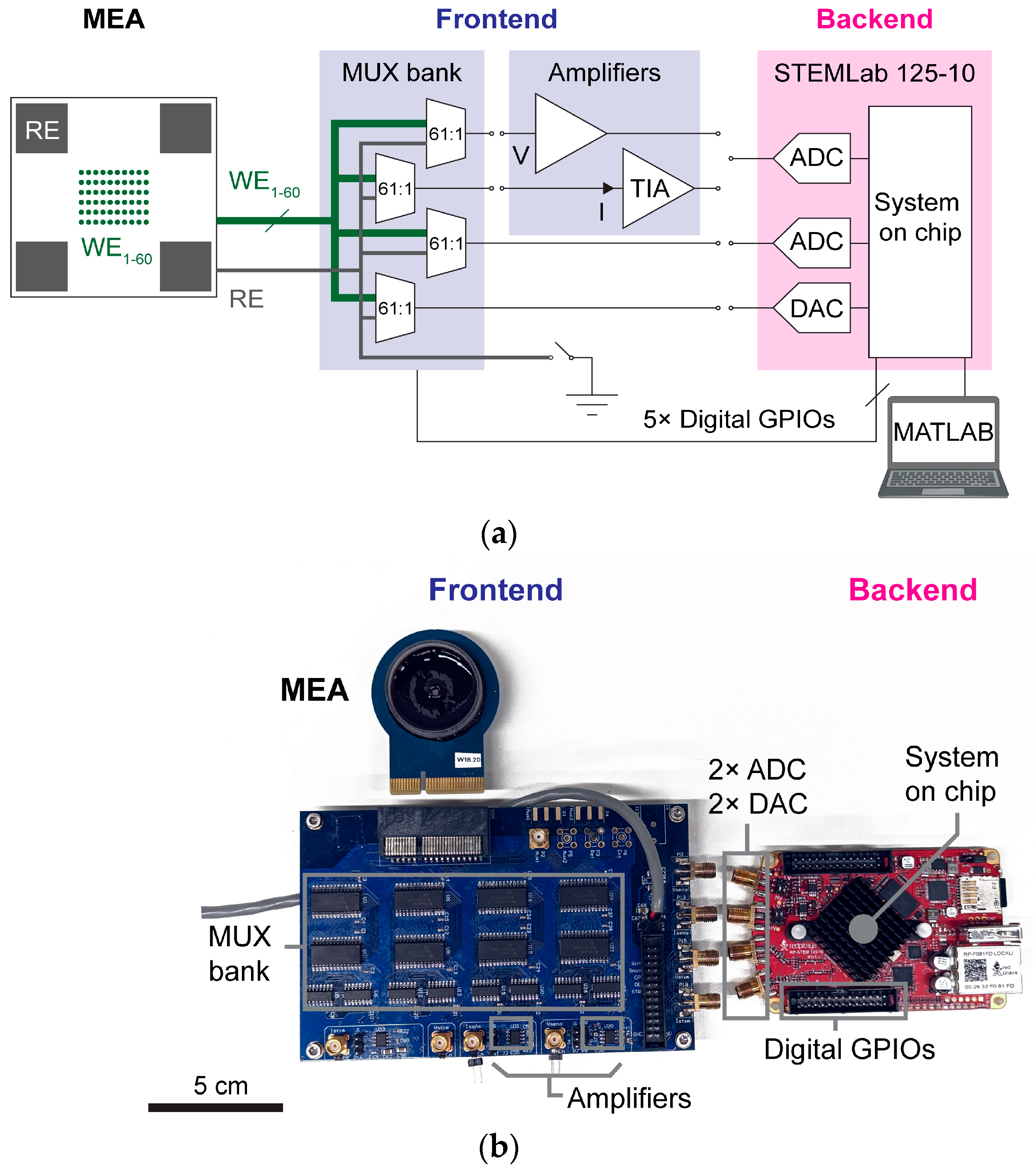 Sensors 25 02874 g001