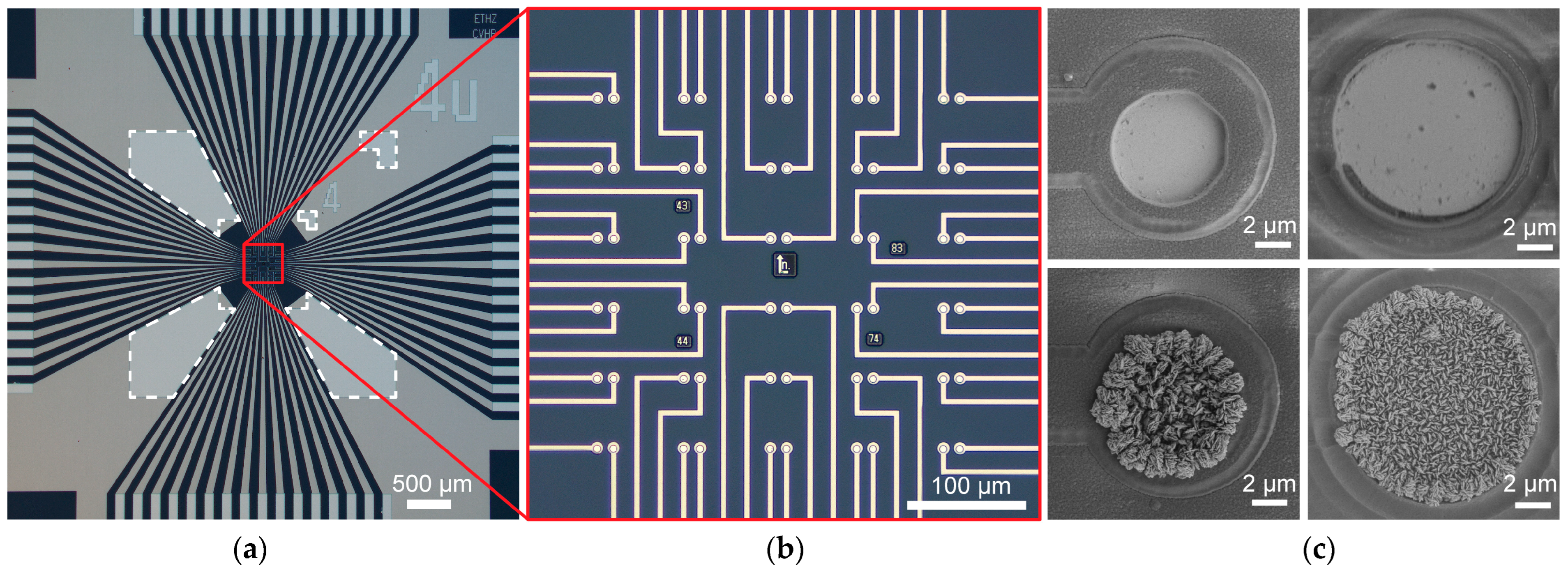 Sensors 25 02874 g002